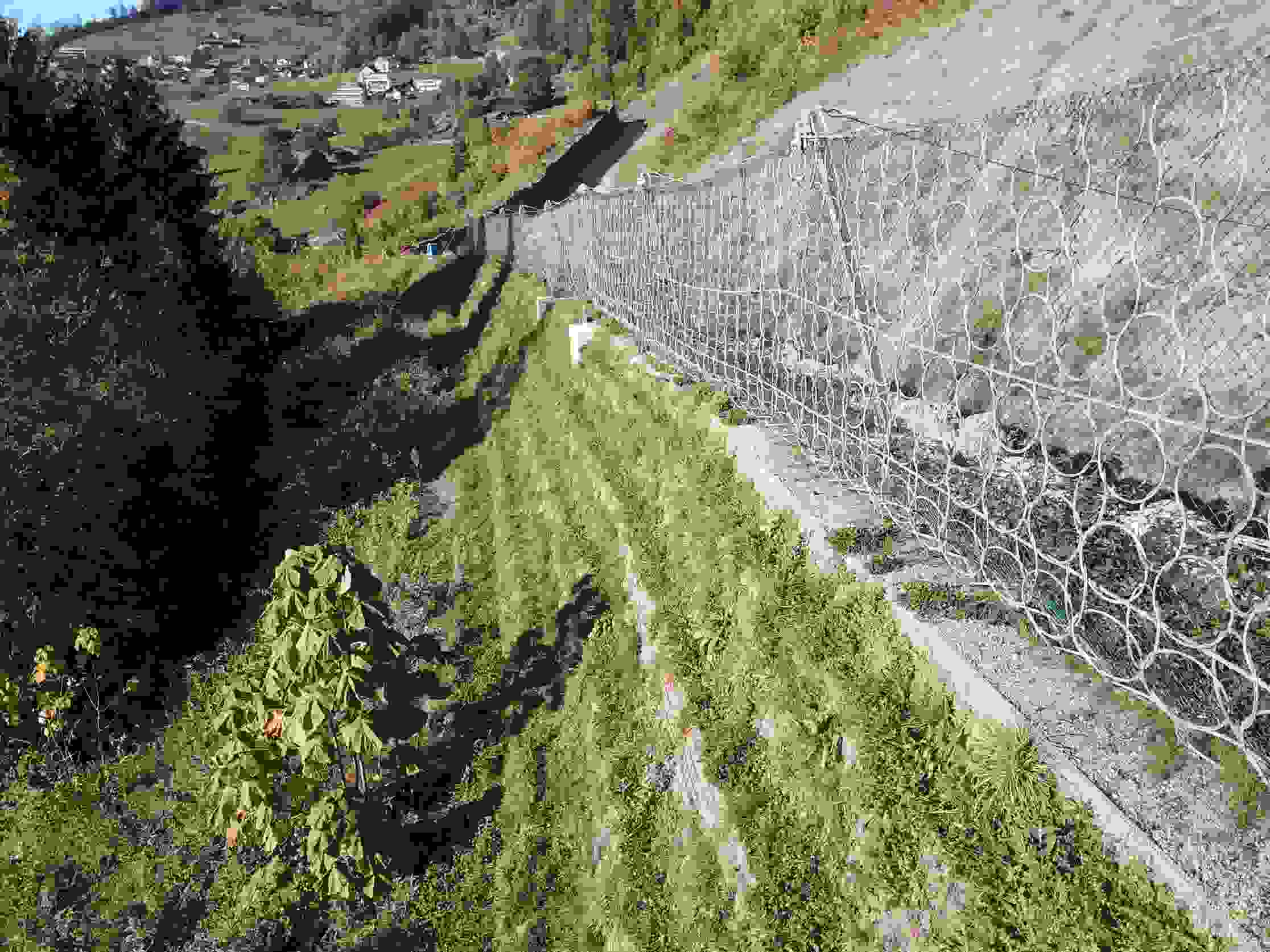 Zone résidentielle Laugneri Weggis - Mesures de protection (Digue)