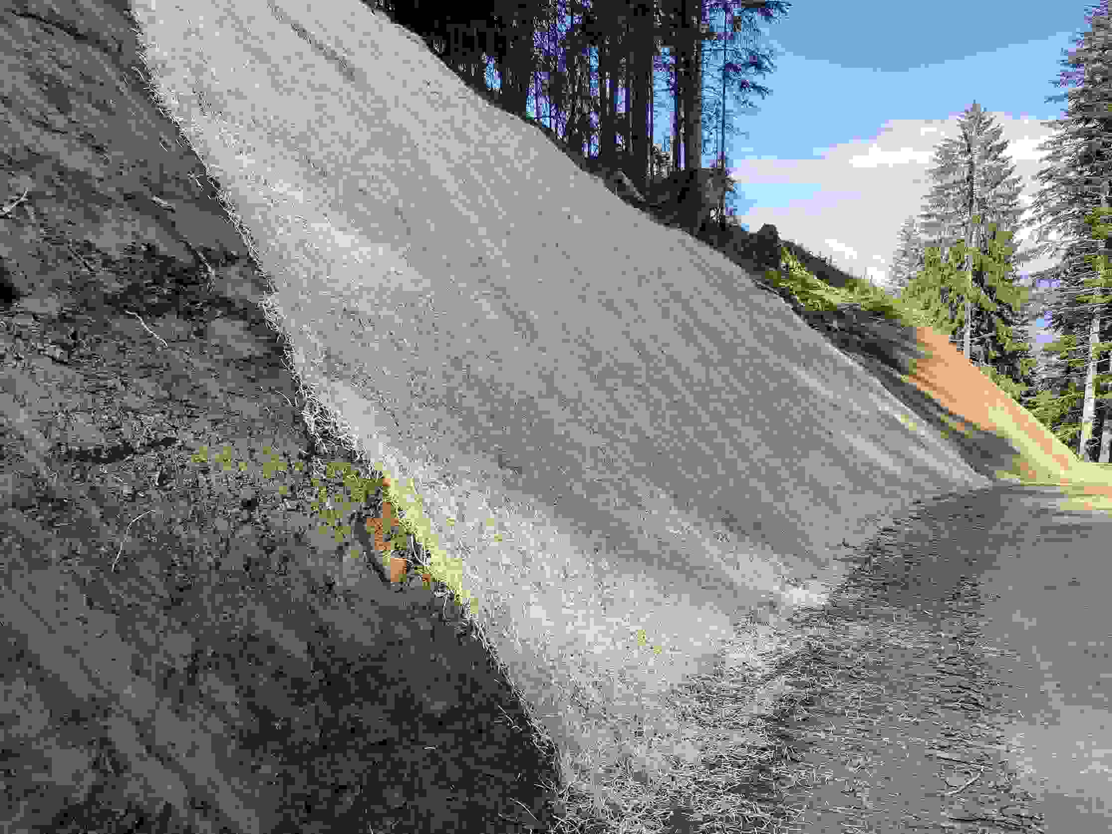 Chemin forestier zone de montagne est Domat Ems - Protection contre l'érosion