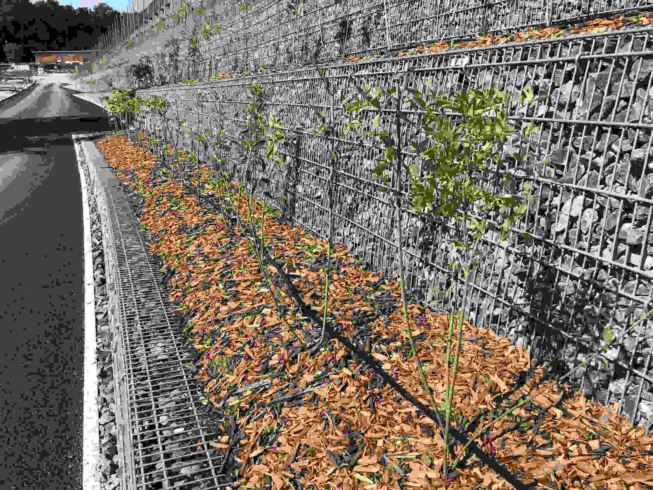 CFF Pont sur l'arve, Camouflage sur les rives de l'Arve