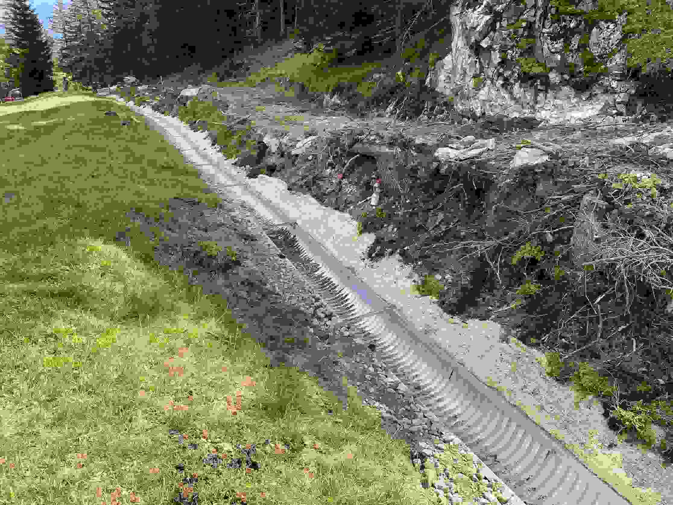 Brienzer Maiensässe Albula - Drainage