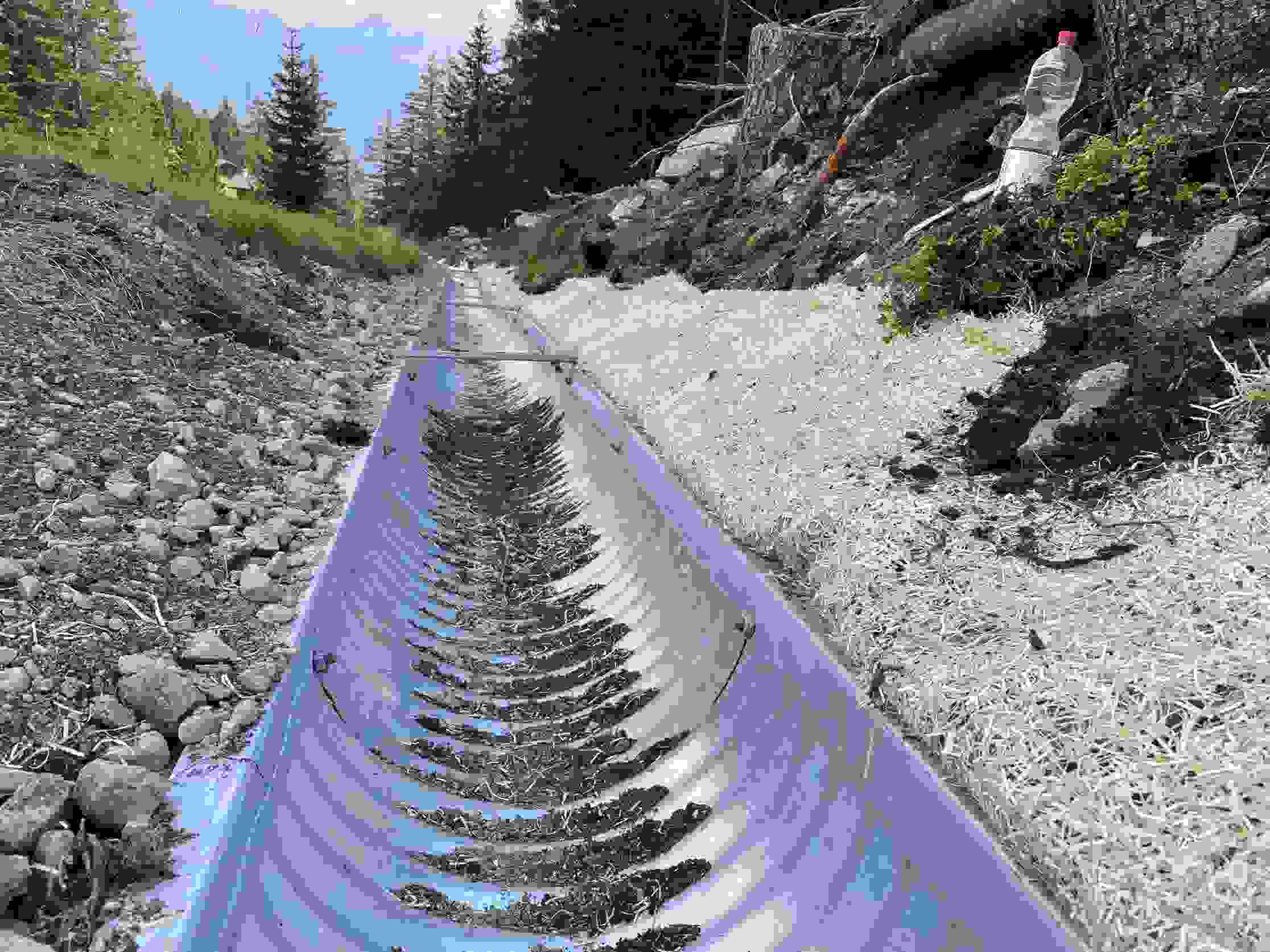 Brienzer Maiensässe Albula - Drainage