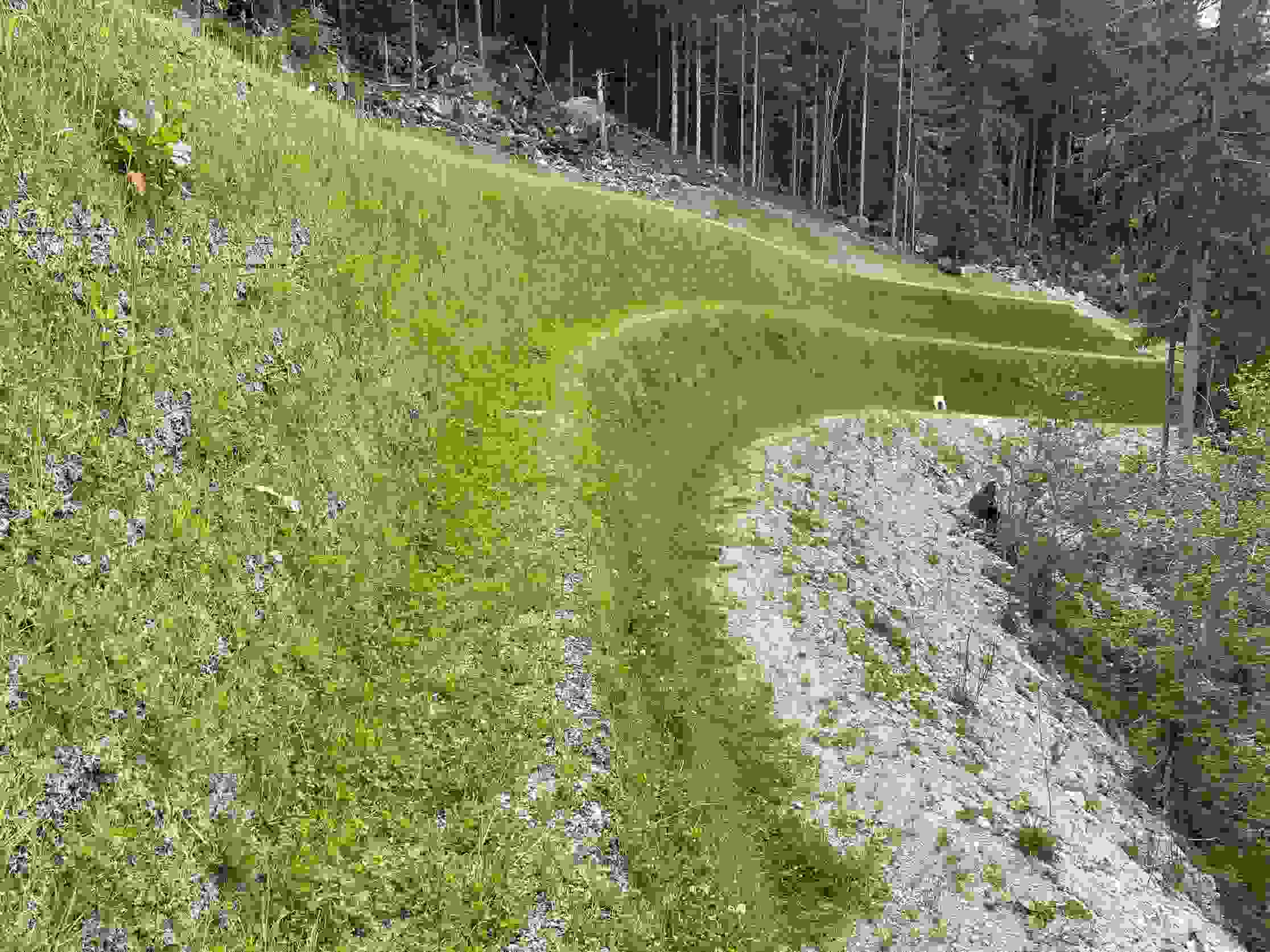 A2 Amsteg-Göschenen - Barrages de protection contre les chutes de pierres