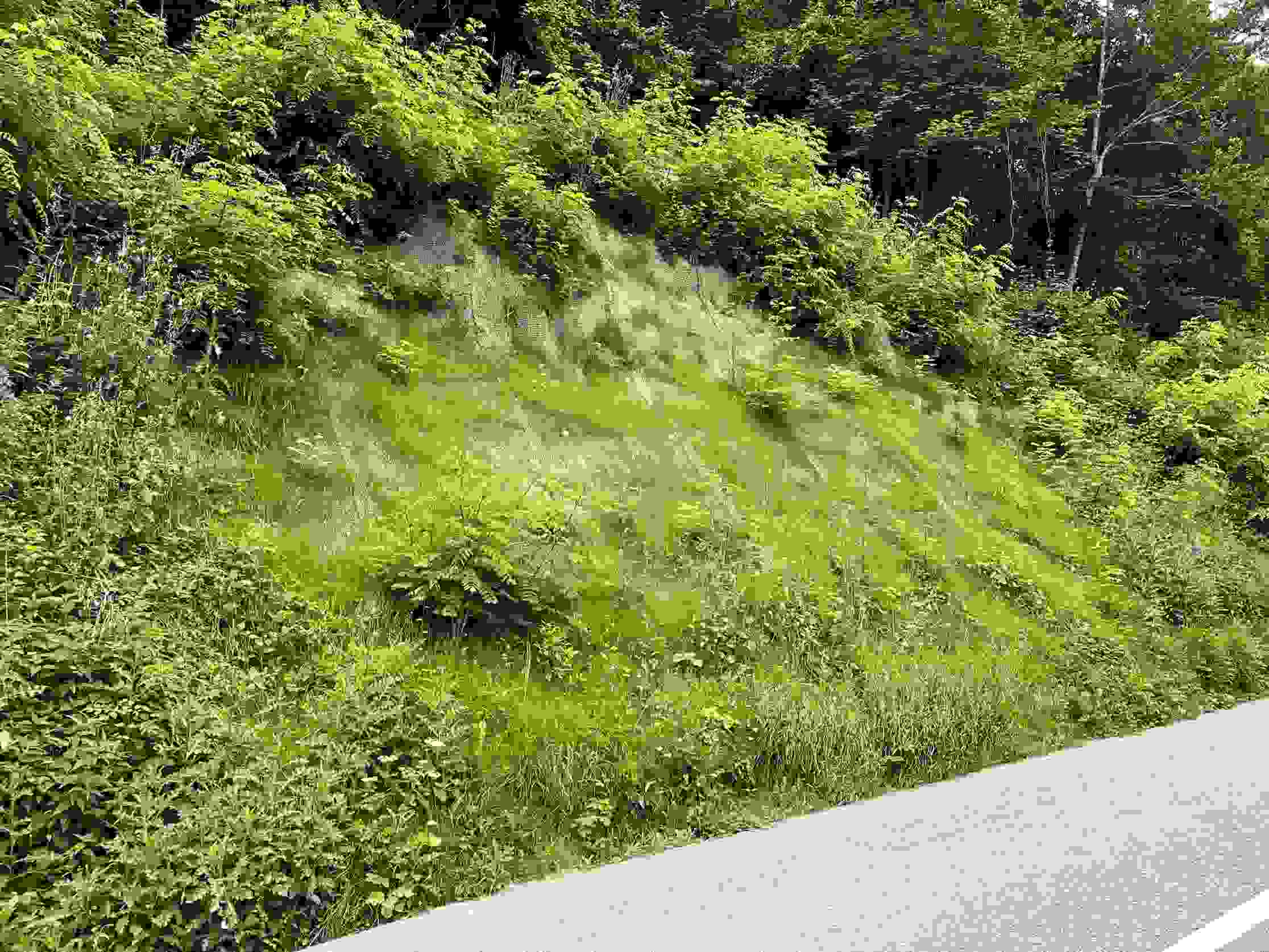 Route du Balmberg Günsberg - nouvelle protection contre l'érosion et les chutes de pierres