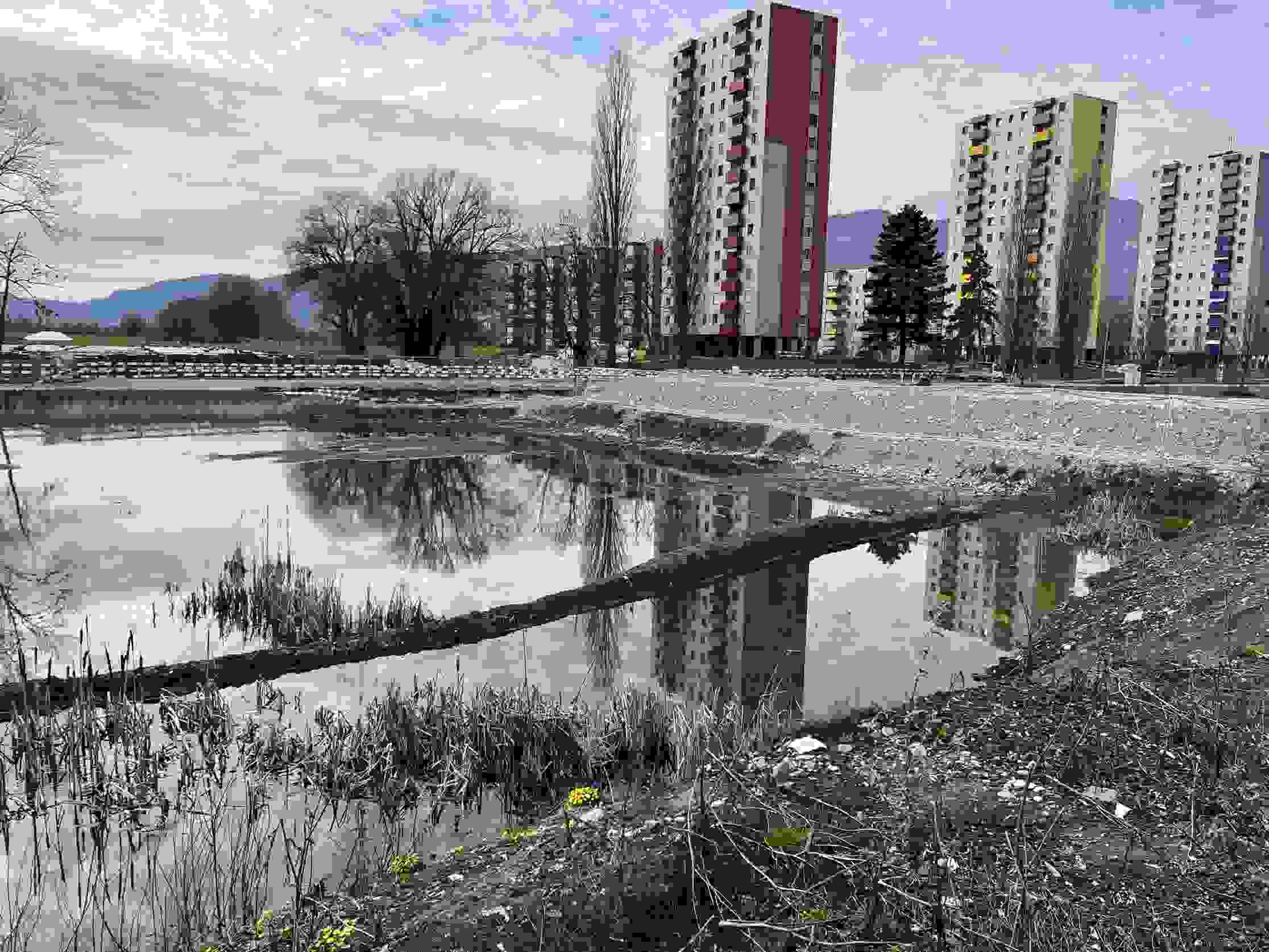 Weitblick Solothurn - Barrière de capillaires sous la route de desserte