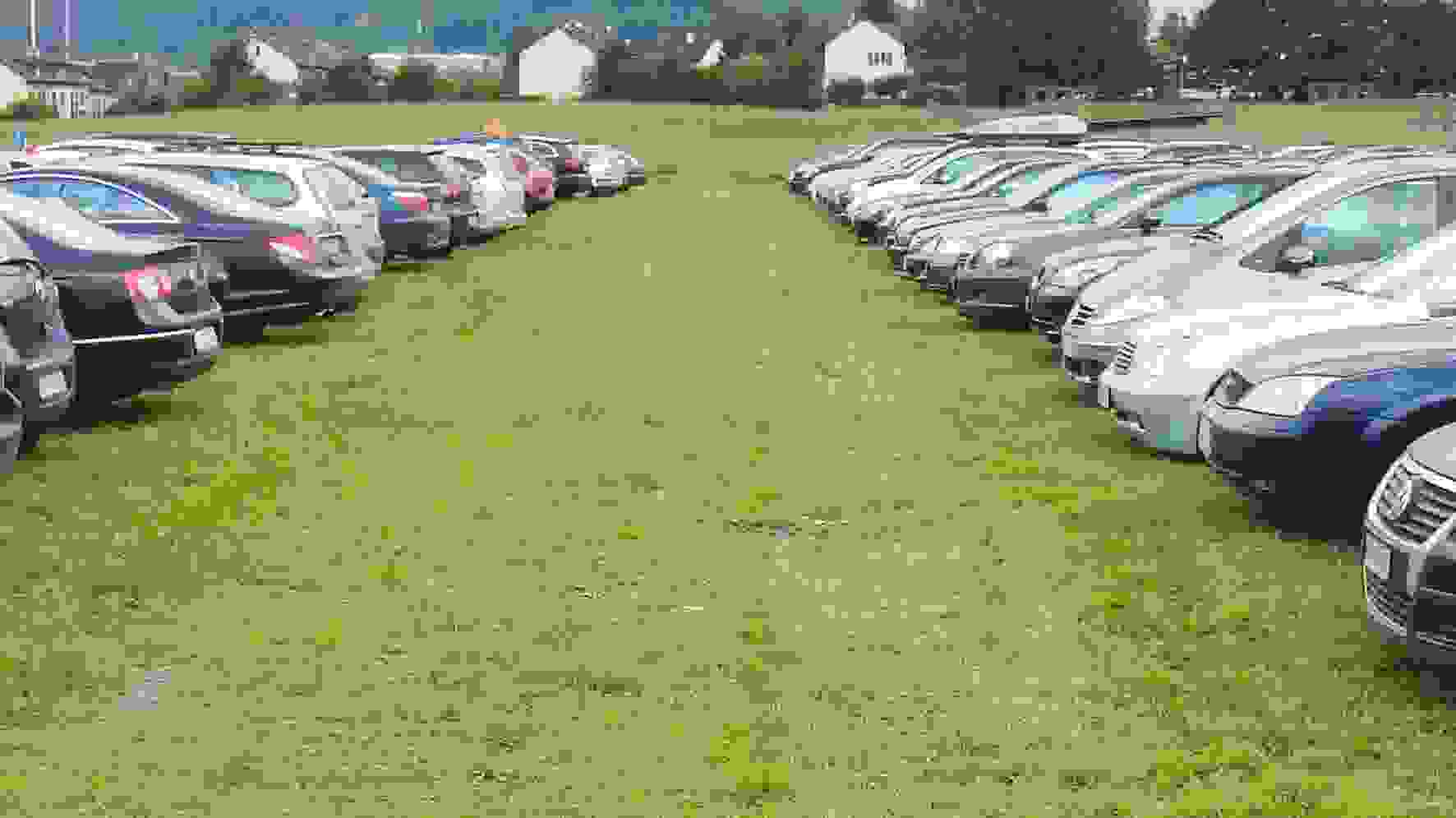 Rasenarmierung SYTEC GP St