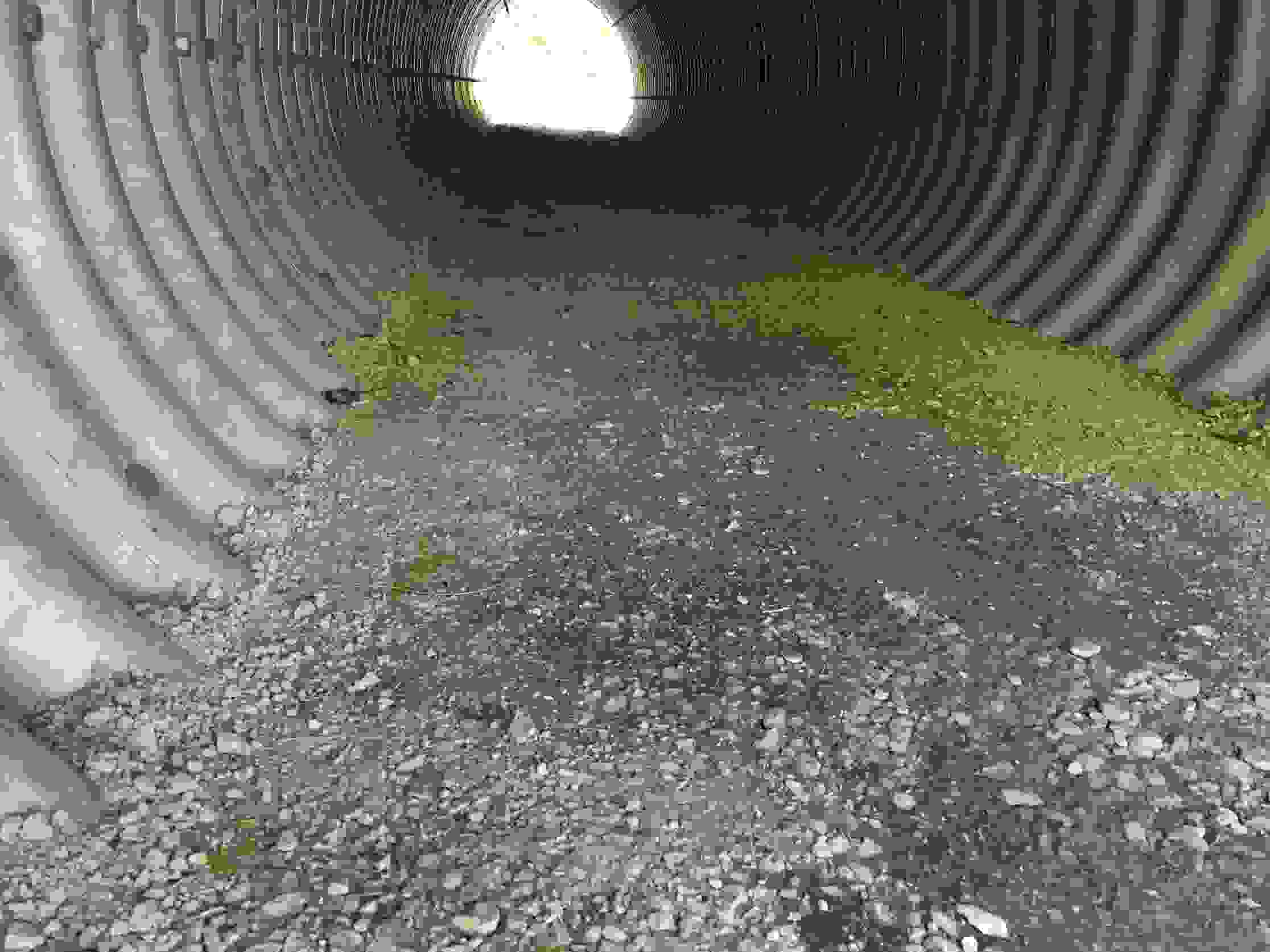 Route cantonale Wohlen-Bremgarten - Passage inférieur à faune