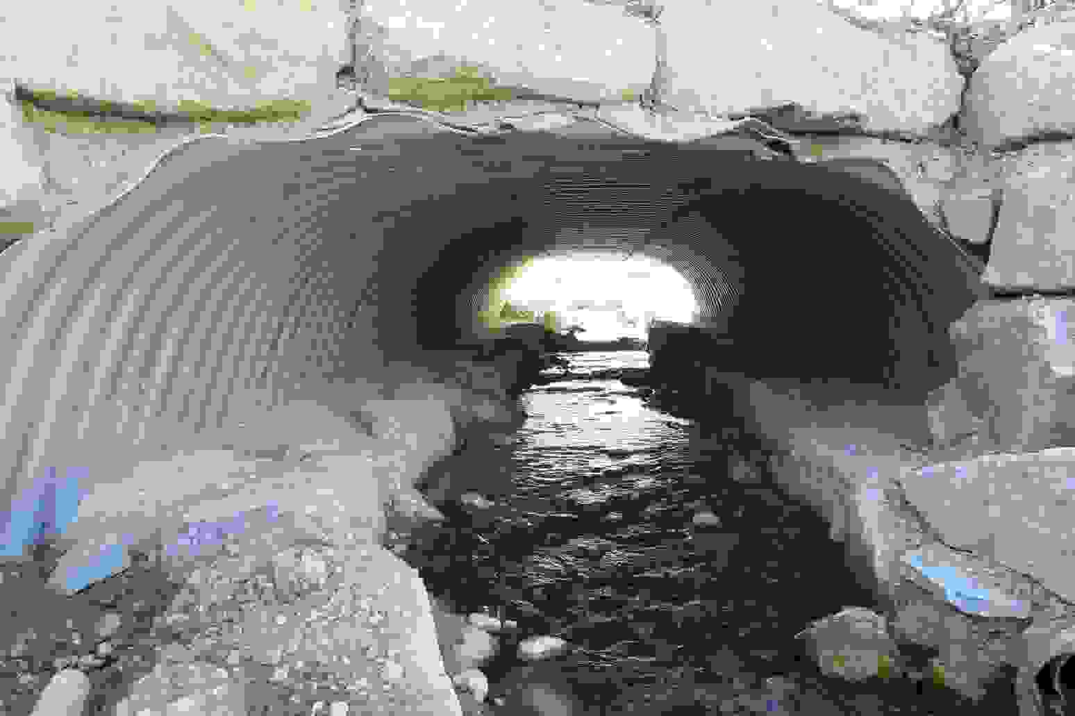 CFF Pont sur l'arve, Camouflage sur les rives de l'Arve