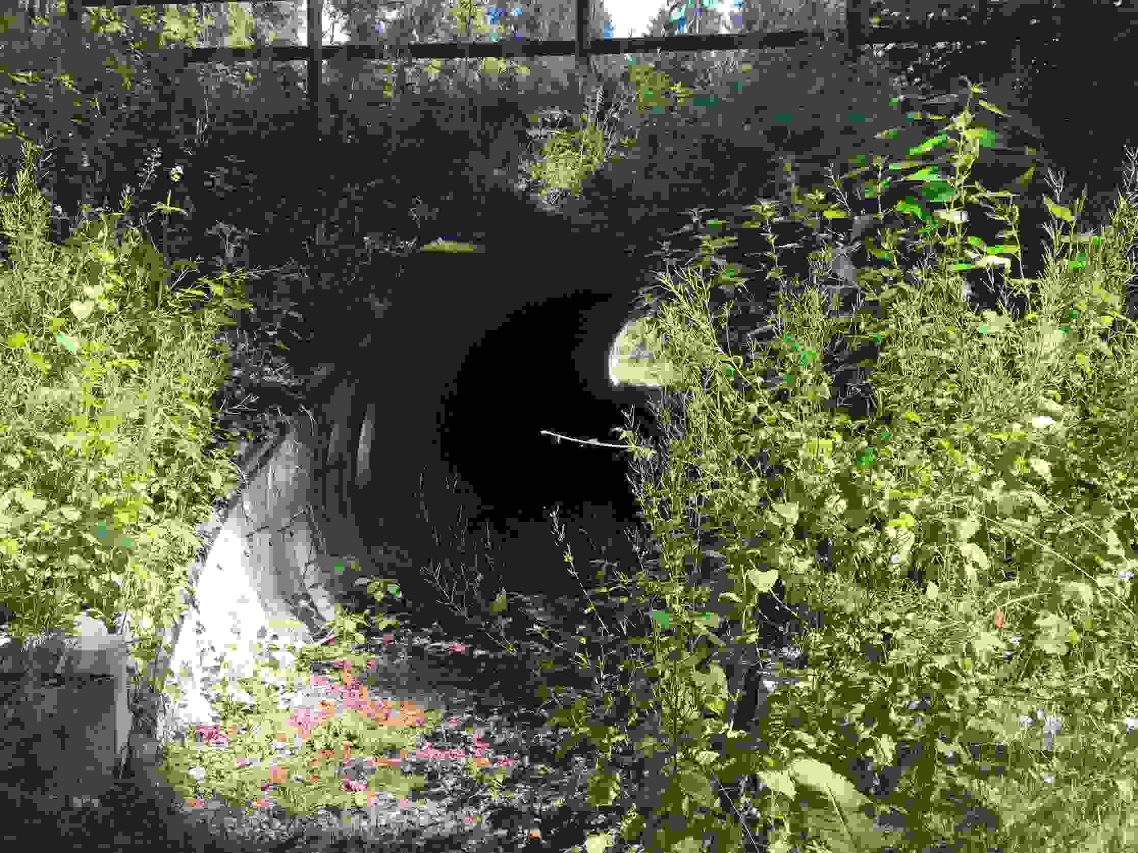 Route cantonale Wohlen-Bremgarten - Passage inférieur à faune