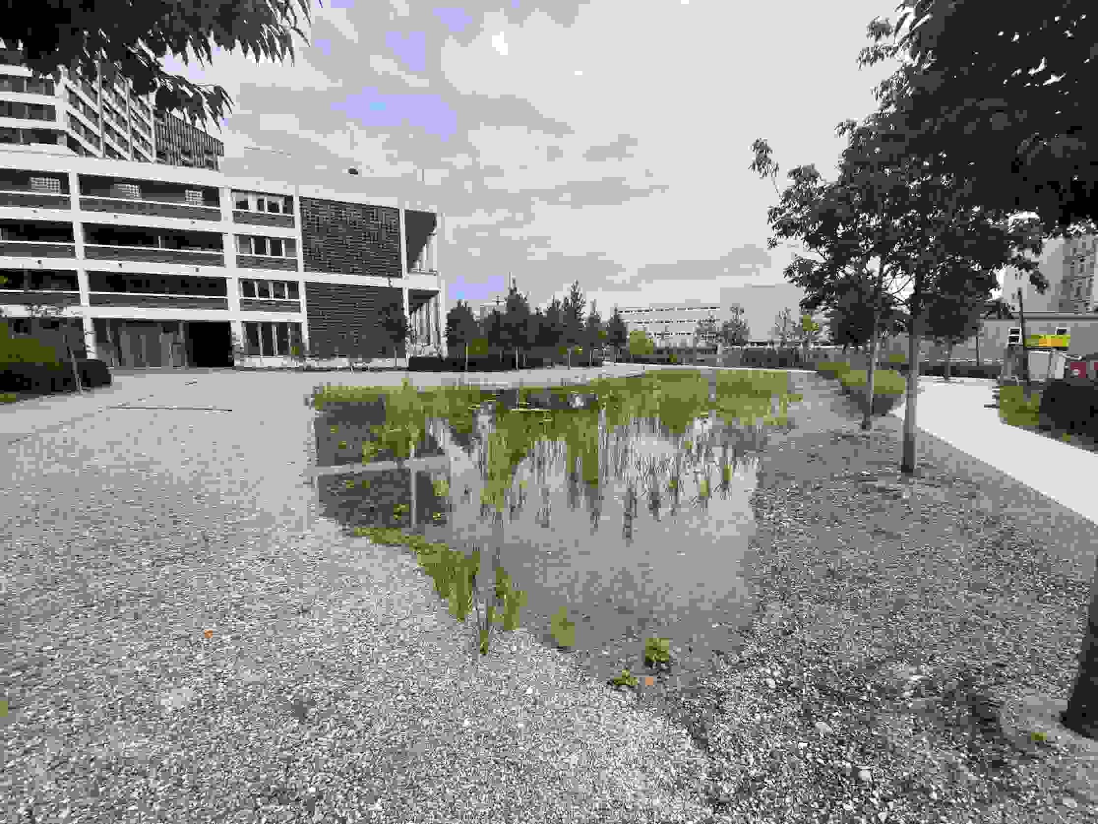 Lotissement WolkenWerk Oerlikon - Aménagement des environs