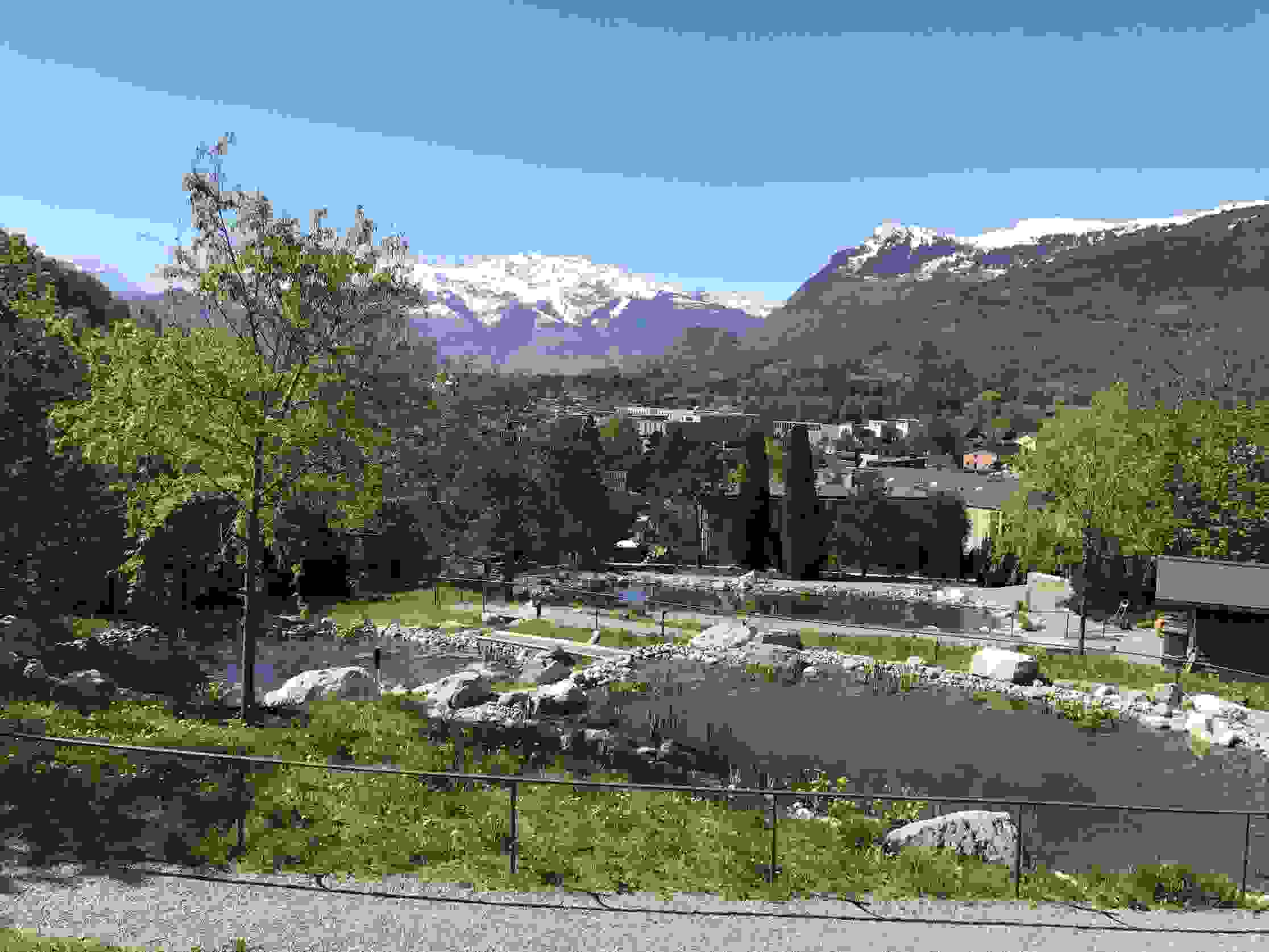 Naturnah gestaltete Teiche in Triesen