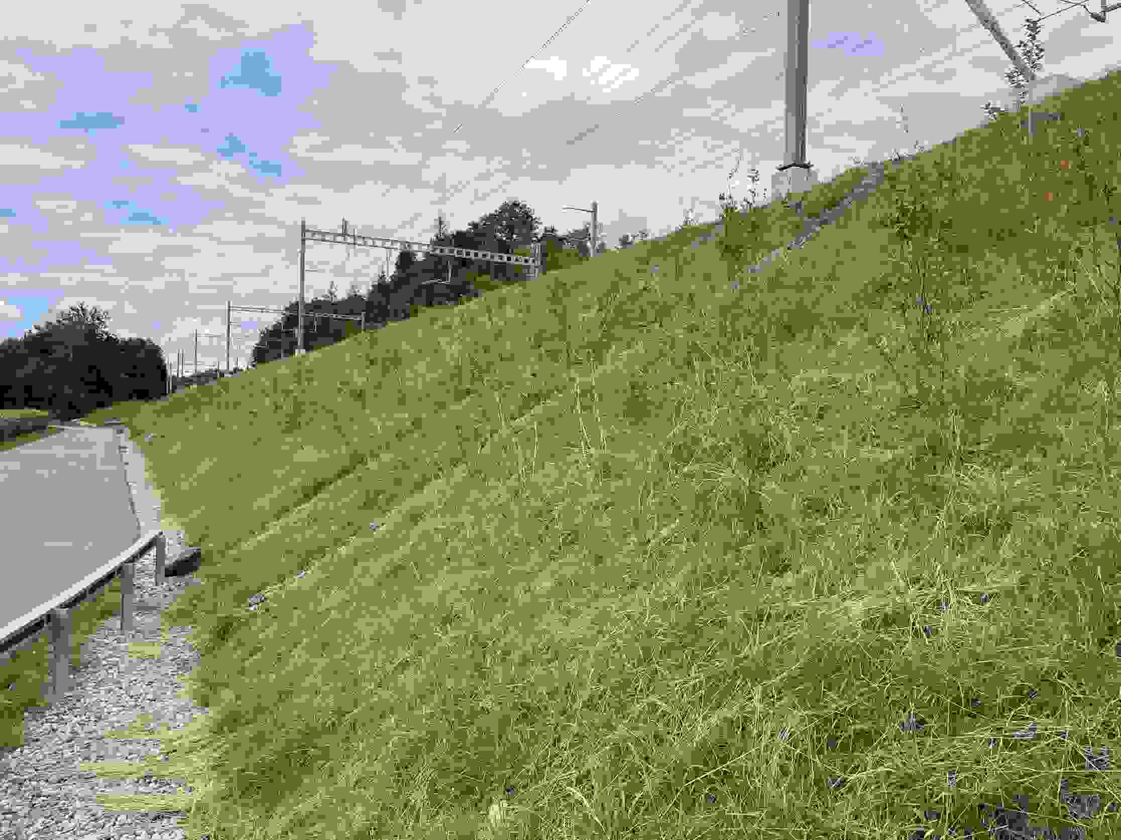 sbb_maegenwil_2.jpg