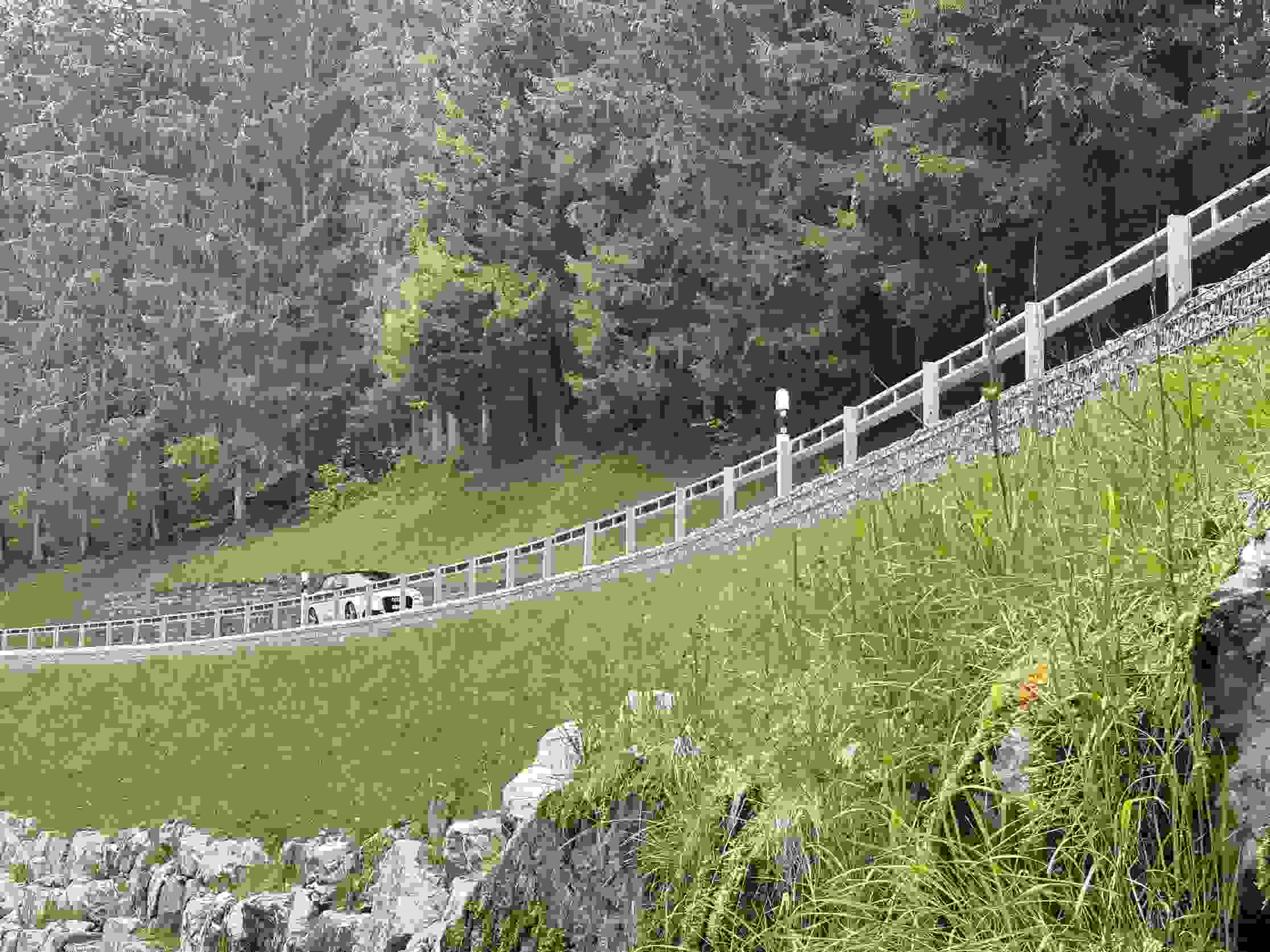 Route de la Gruyére Pont la Ville - Entretien de la route