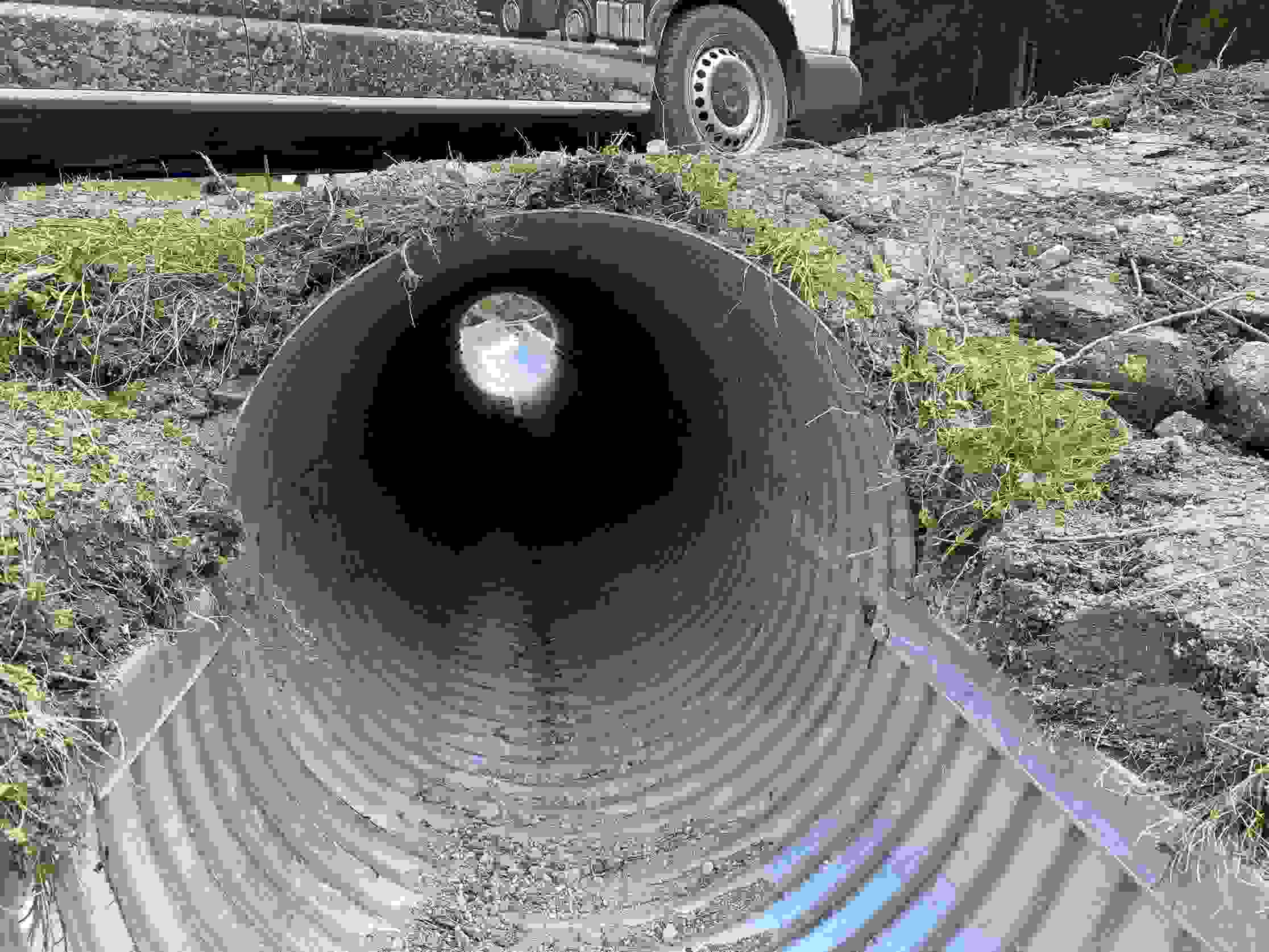 Brienzer Maiensässe Albula - Drainage