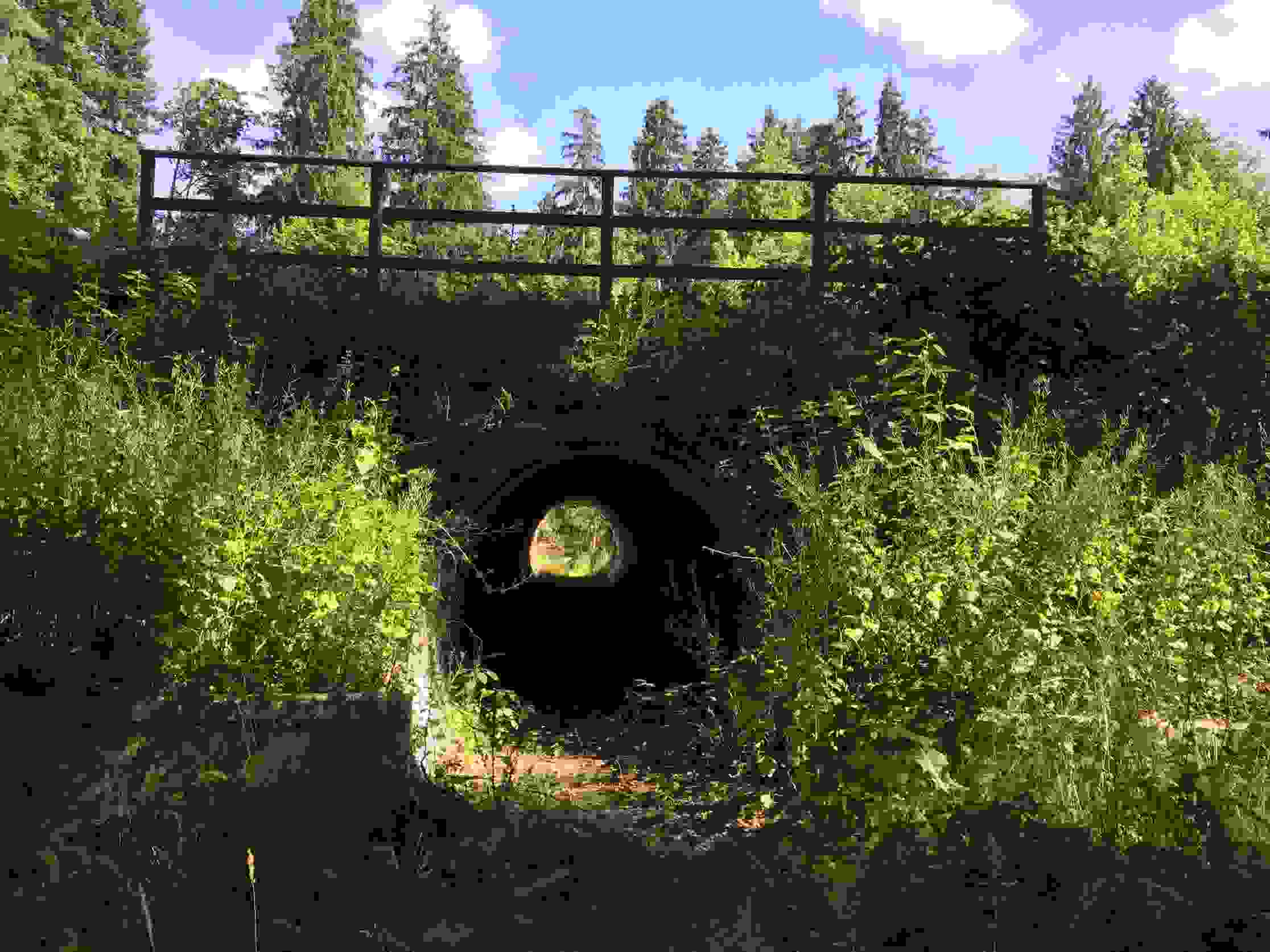 Route cantonale Wohlen-Bremgarten - Passage inférieur à faune