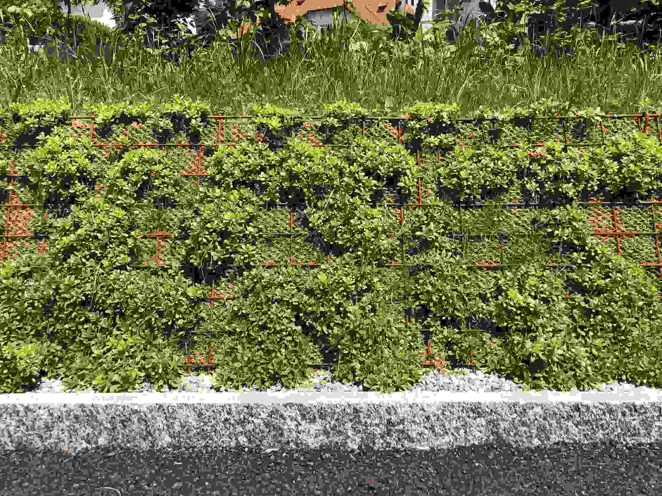 Maison de retraite et de soins de Balsthal - talus raide planté