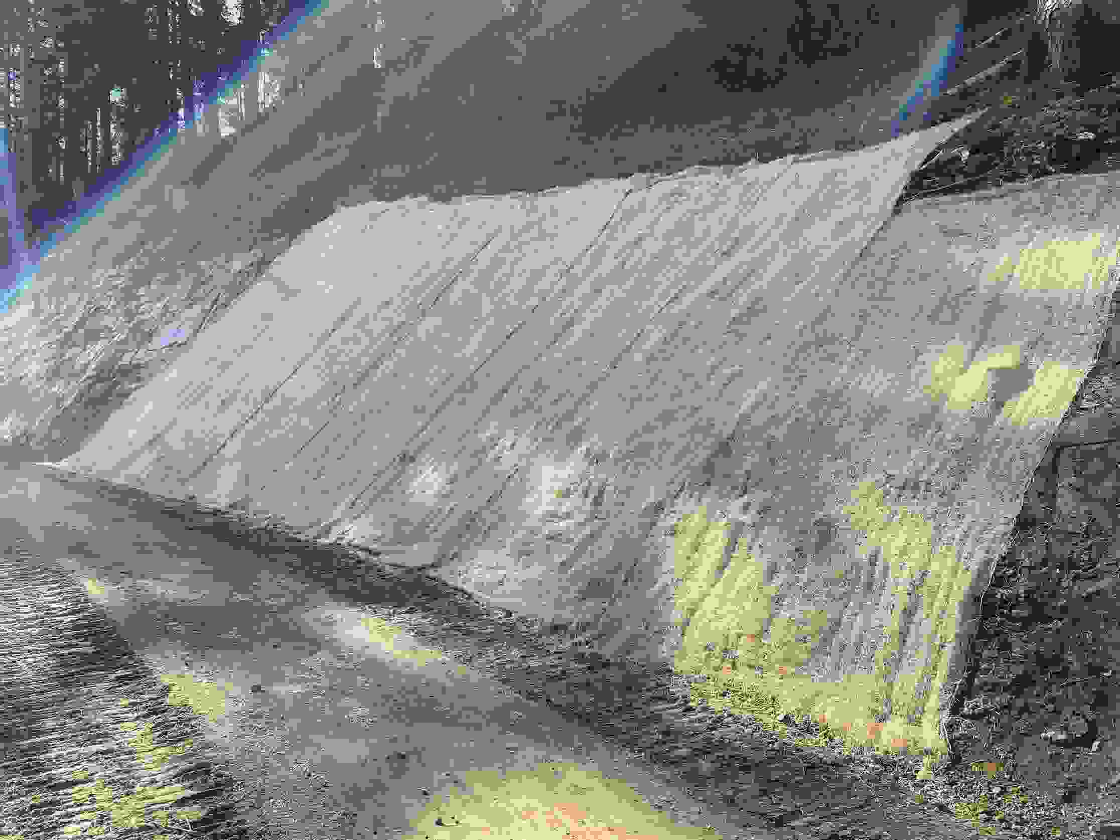 Chemin forestier zone de montagne est Domat Ems - Protection contre l'érosion
