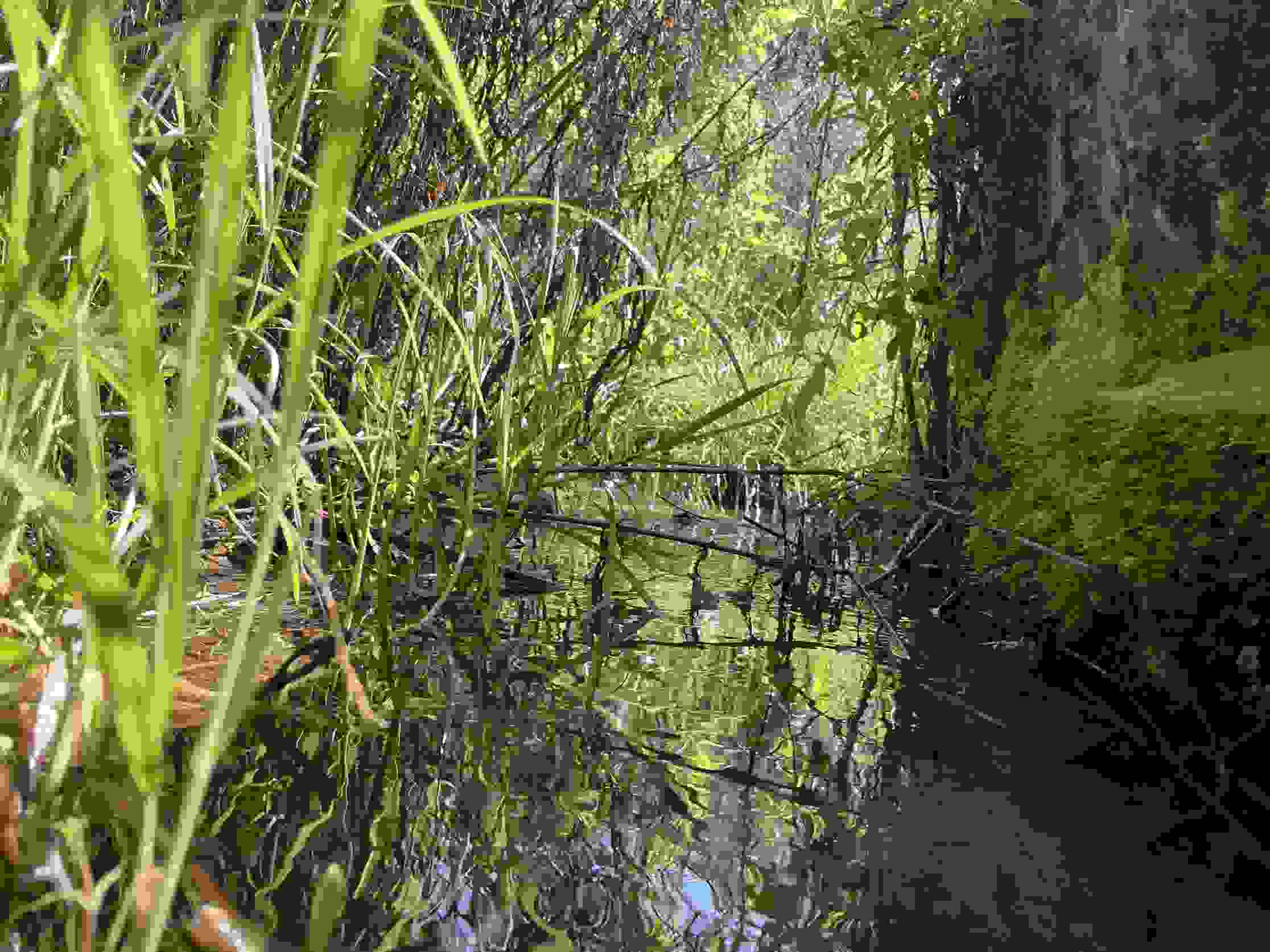 Renaturation du Buebebach Köniz - Etanchéité du nouveau cours d'eau