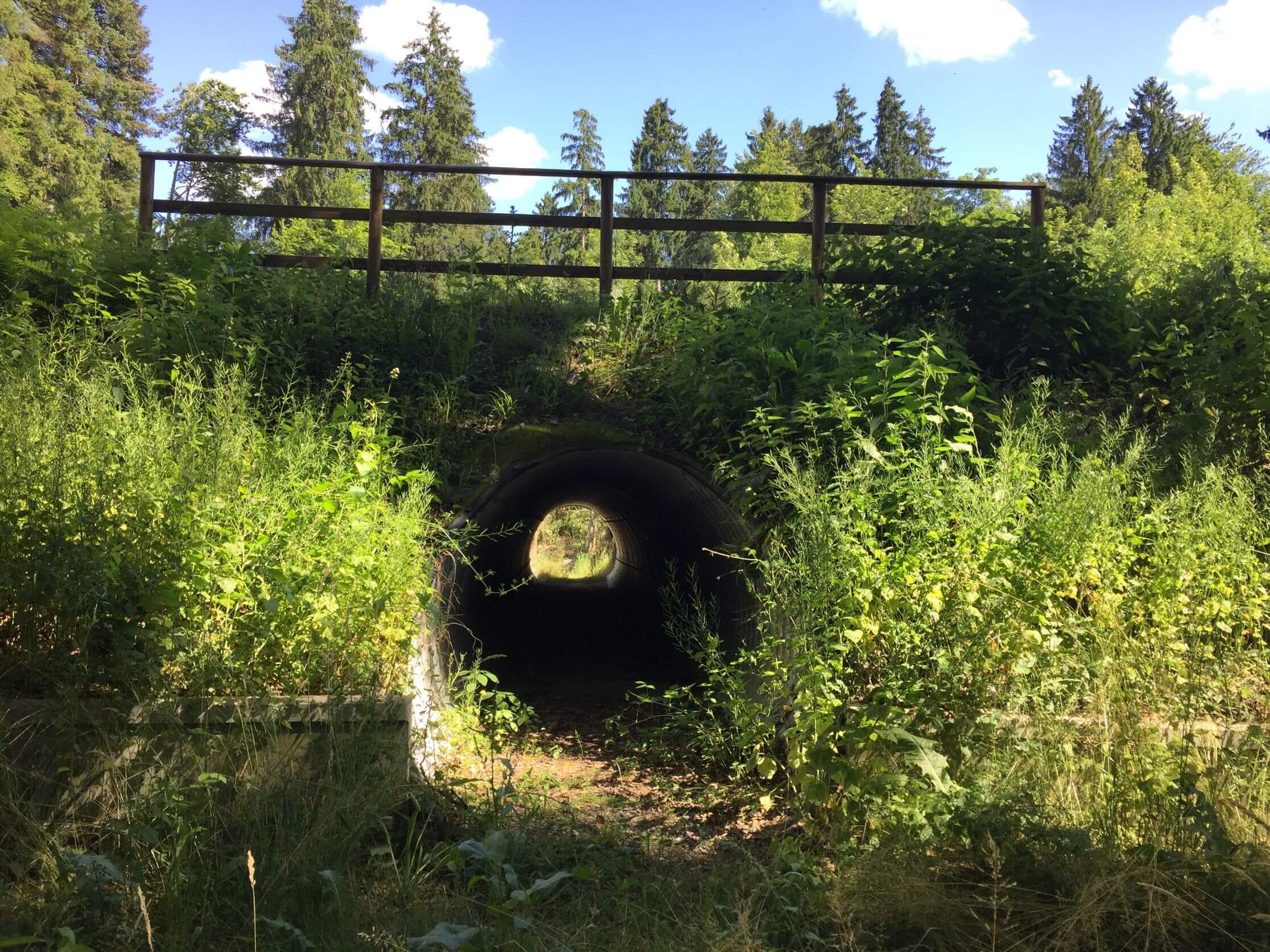 wildtierdurchlass_kantonsstrasse_wohlen_bremgarten_1.jpg