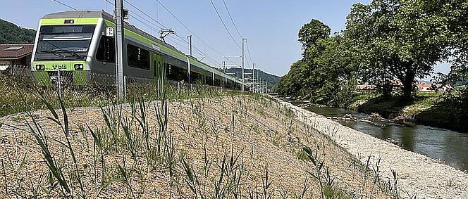 Zoom: Nessuna erosione del rilevato ferroviario in caso di esondazione