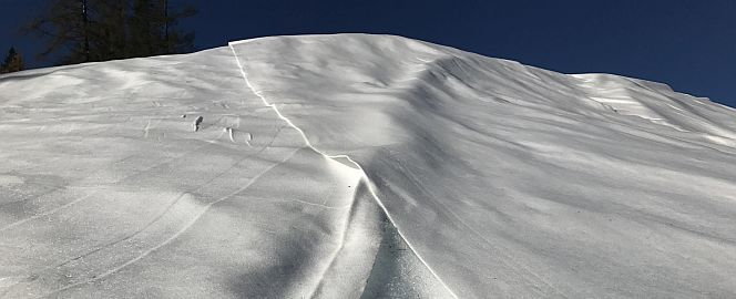 Zoom: Nontissé de protection pour la neige  SYTEC Ice Protect