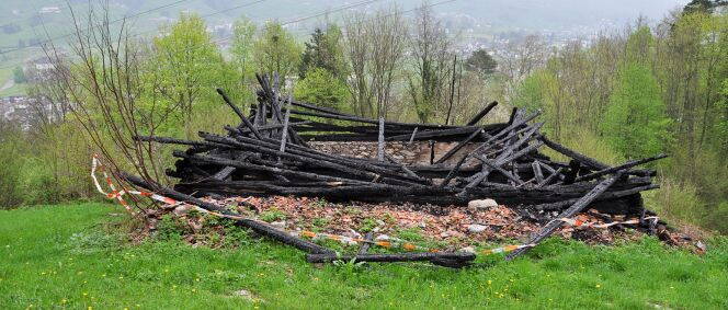 Zoom: Un biotope à flanc de colline émerge des décombres d’un incendie