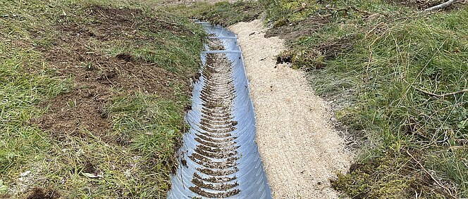 Entwässerung Brienzer Maiensässe, Albula
