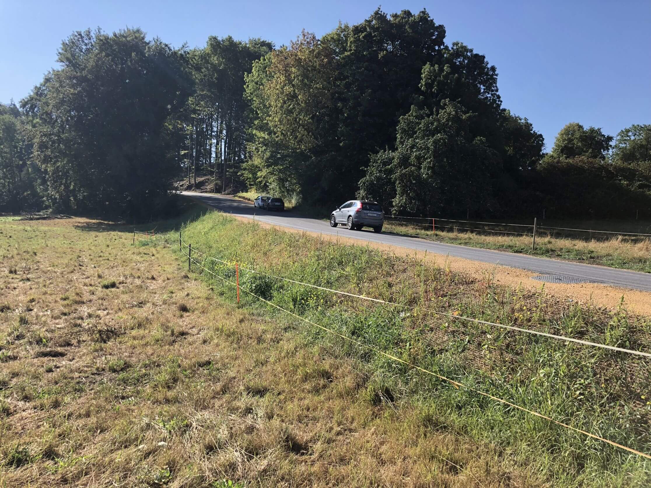 Sarmenstorferstrasse Seengen - Böschungssanierung