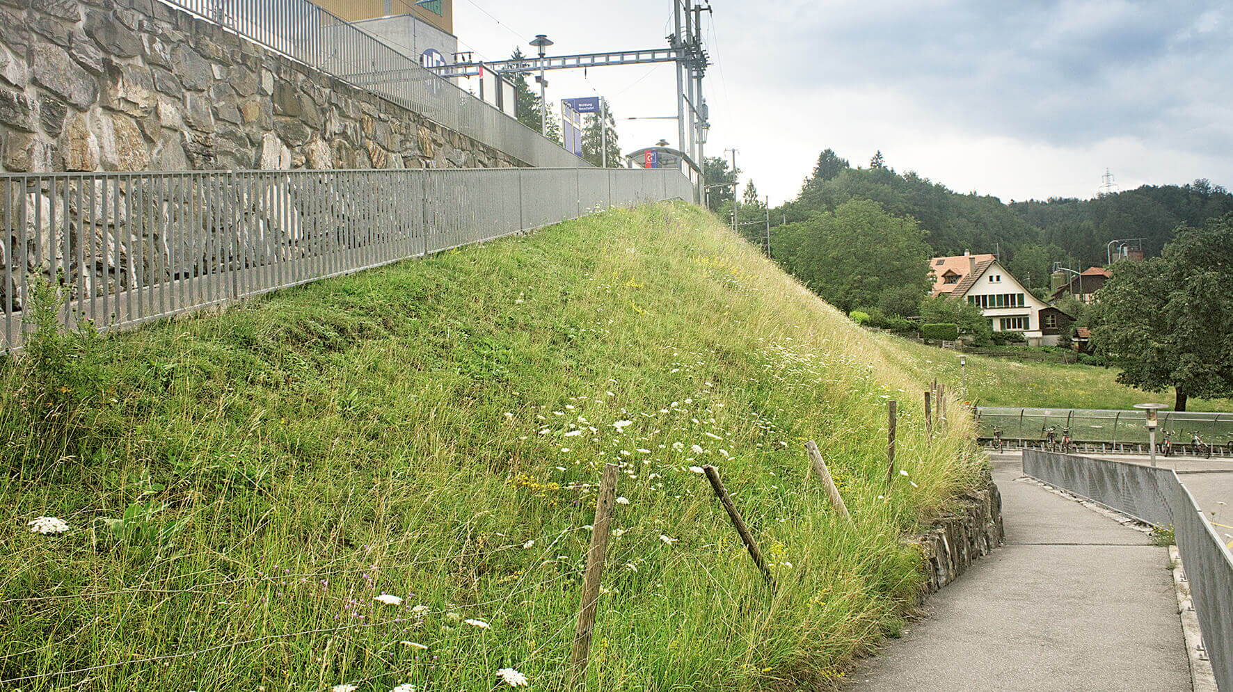 Nasssaatbegrünung SYTEC Natura