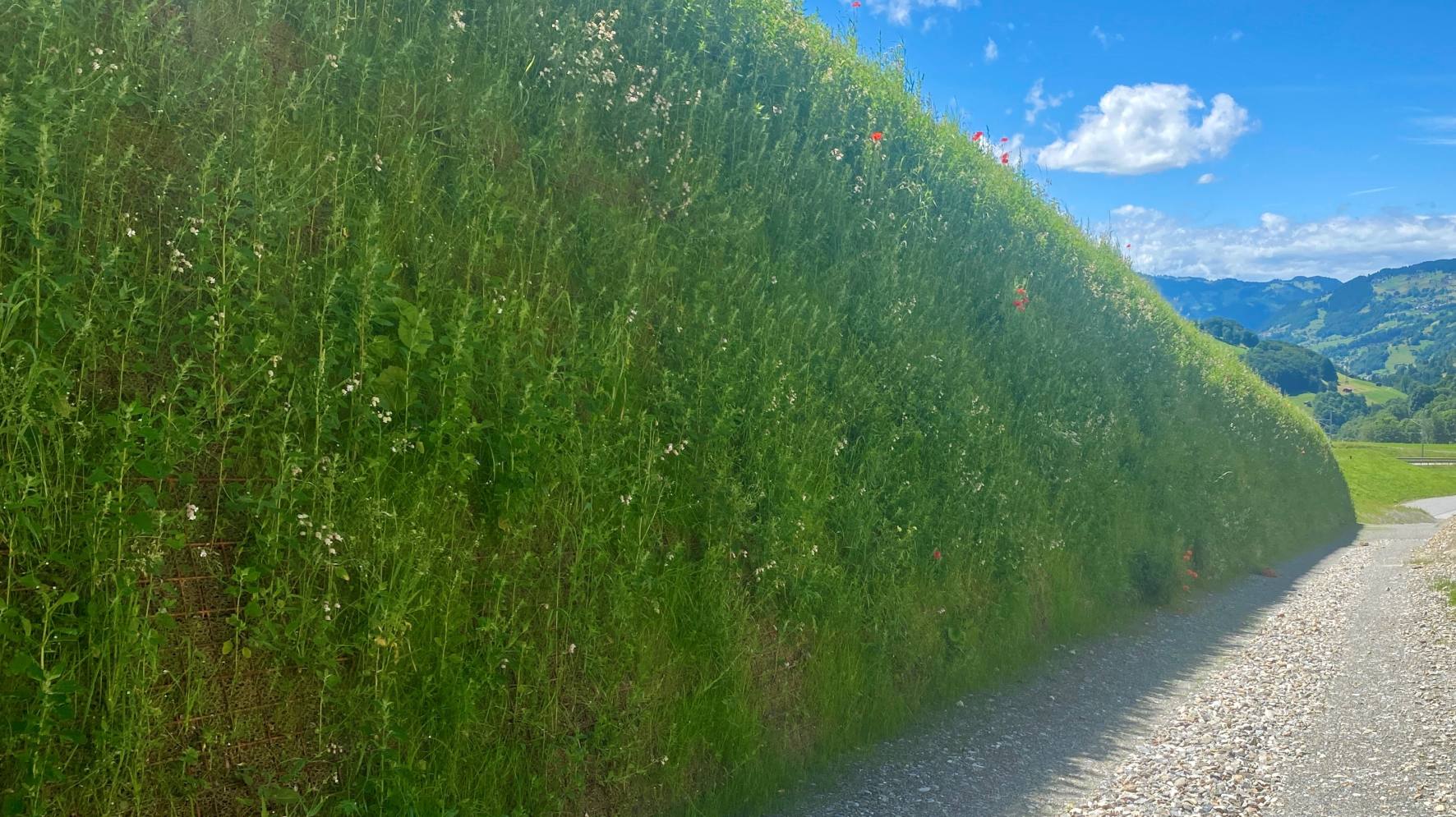 SYTECO Biodiversitt 1772x995