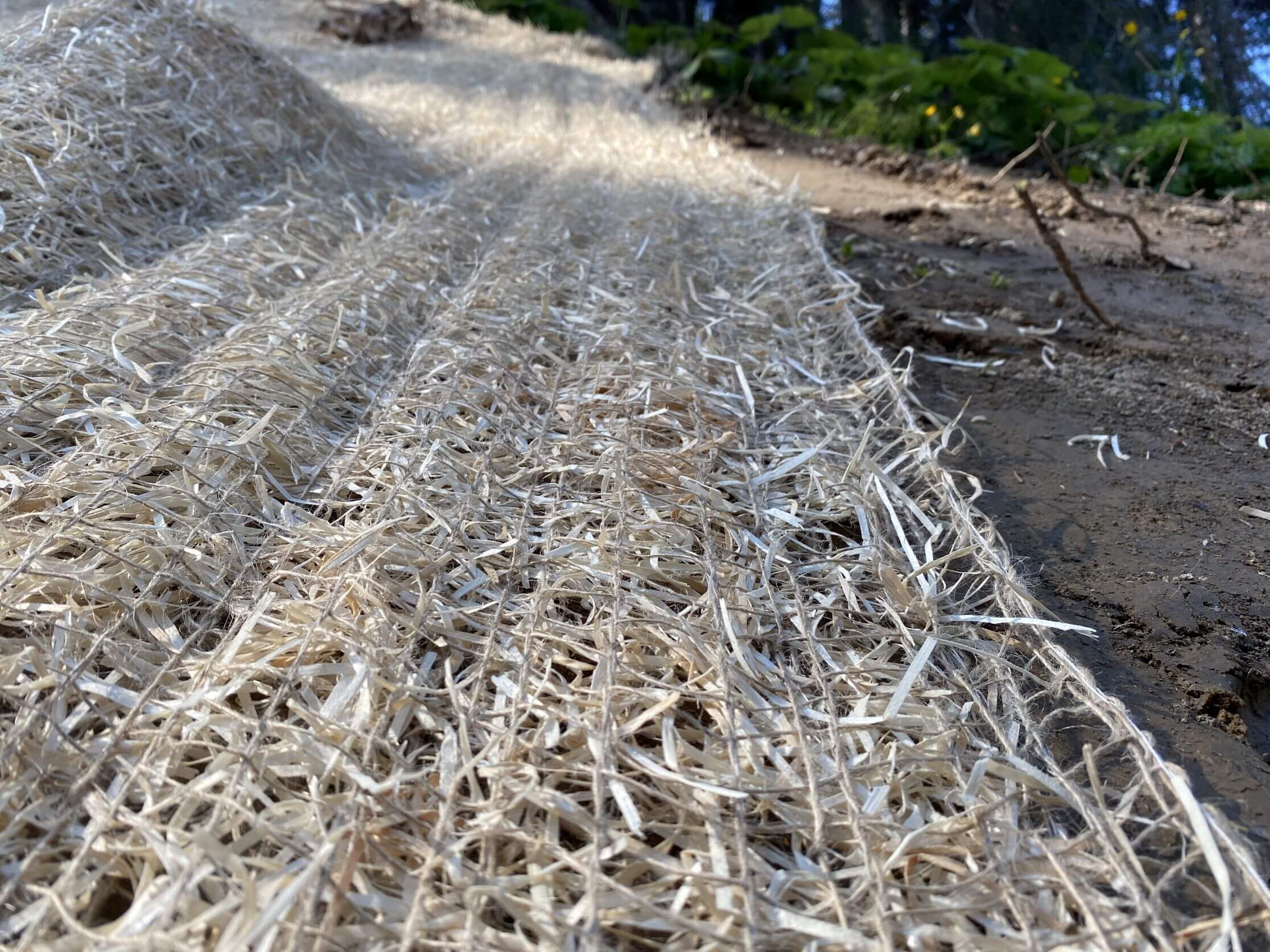 Waldweg Bergzone Ost Domat Ems - Erosionsschutz