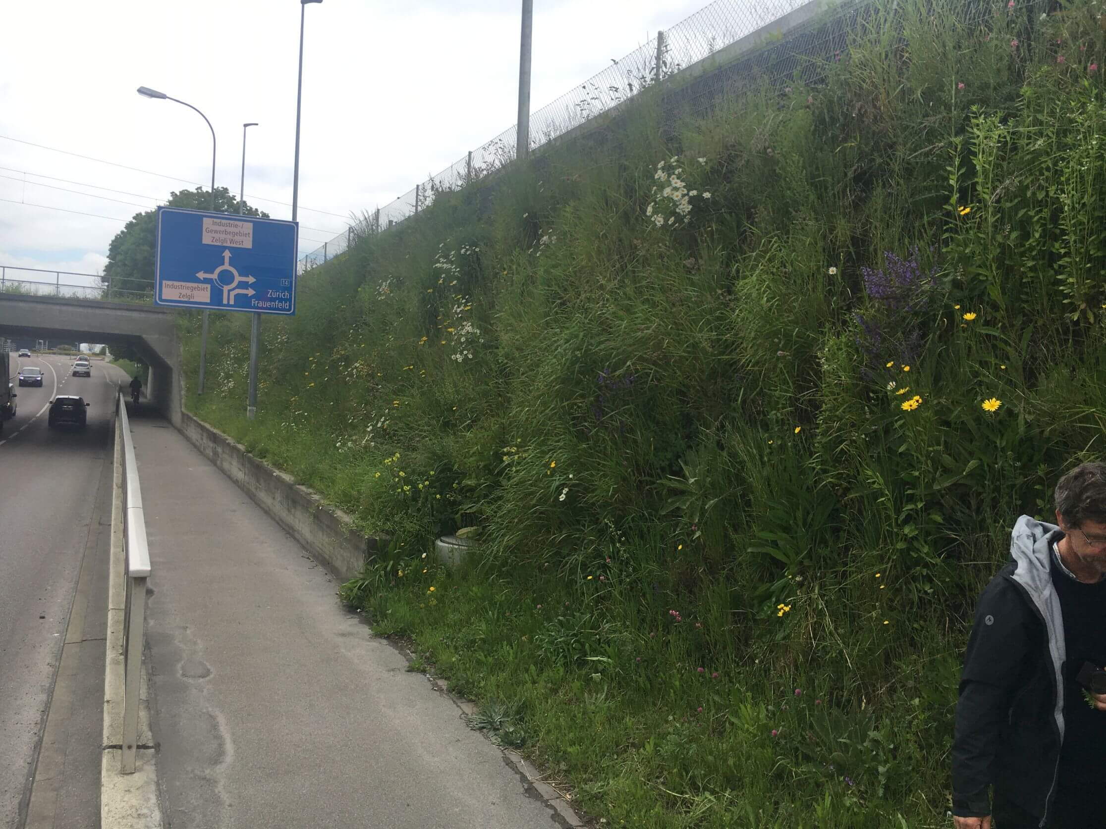 Coop Thurpark Weinfelden - Begrünung Steilböschung