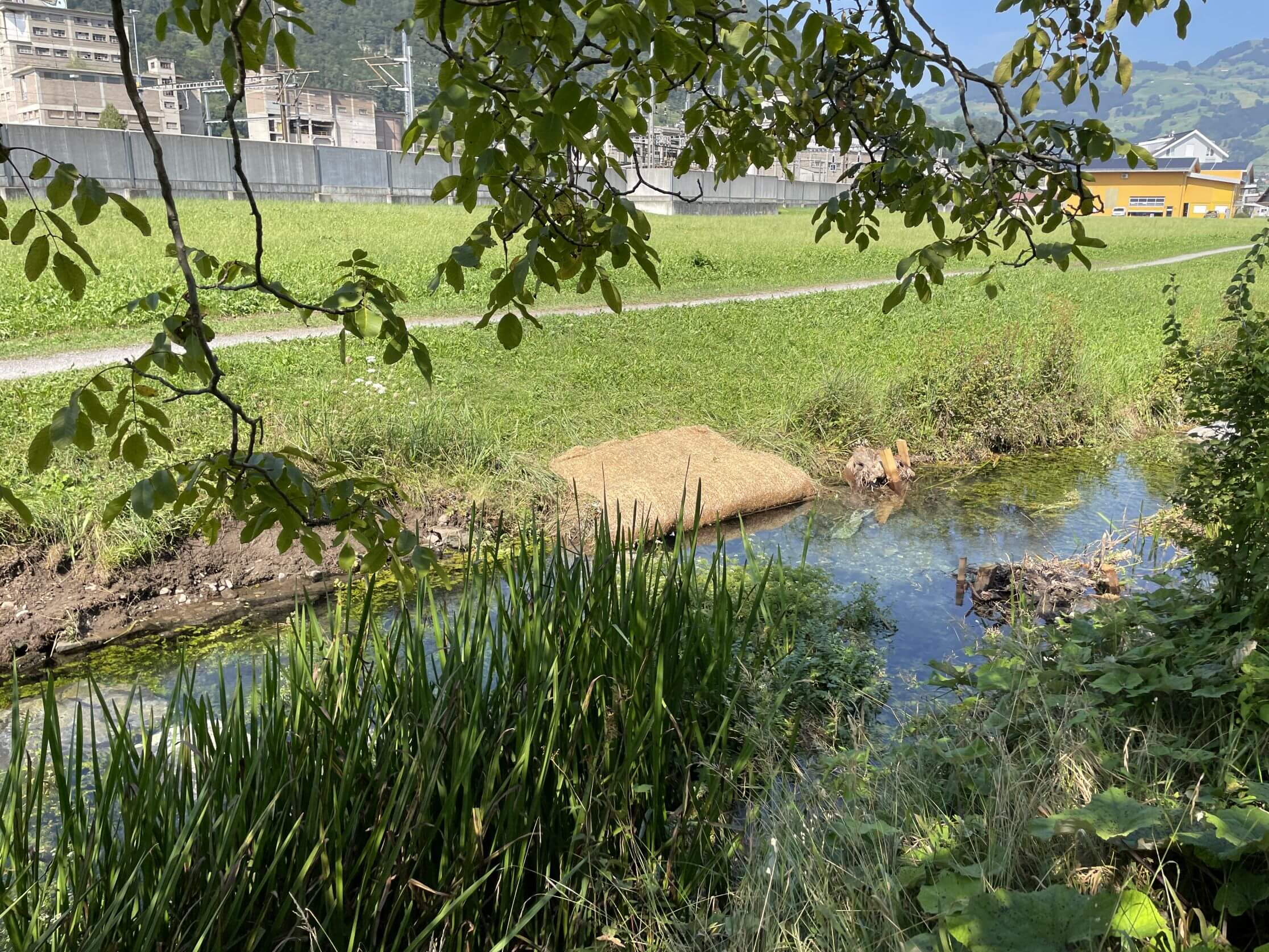 Fischunterstände Ingenbohl