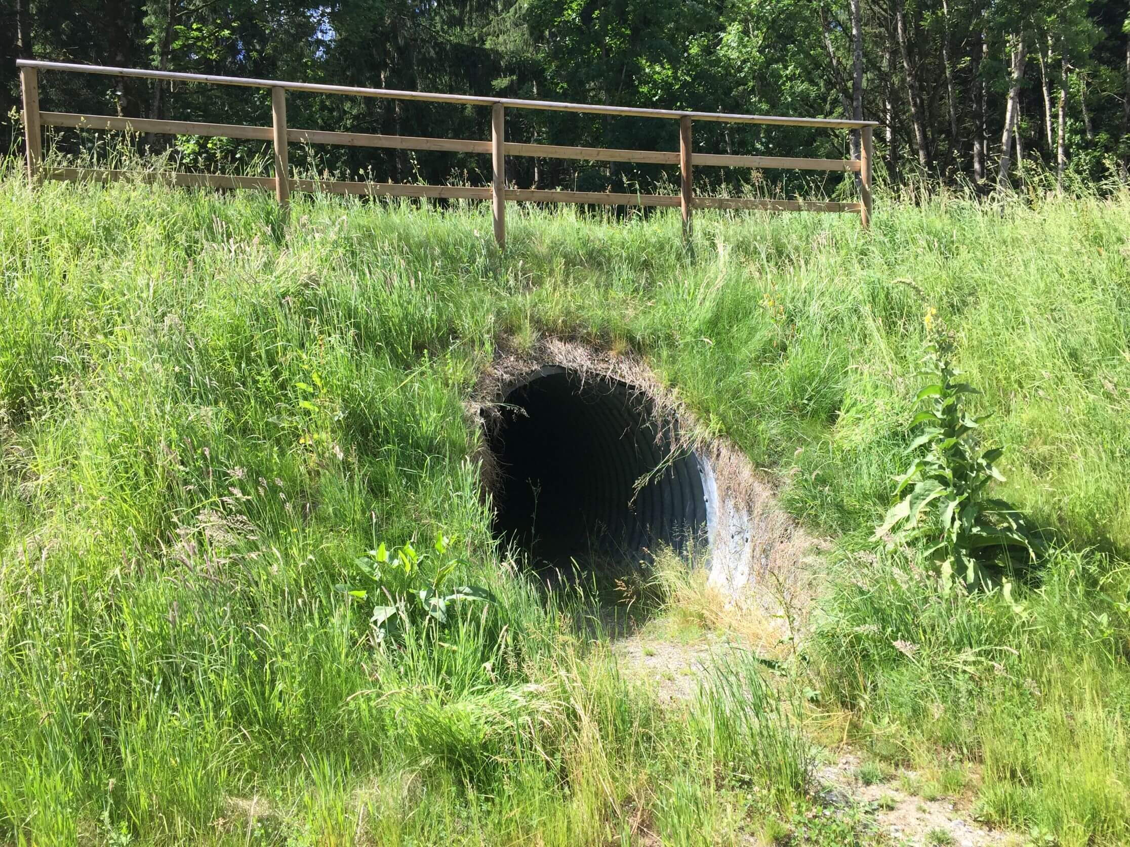 kantonsstrasse_wohlen-bremgarten_-_wildtierdurchlass_3.jpg kantonsstrasse_wohlen-bremgarten_-_wildtierdurchlass_3.jpg