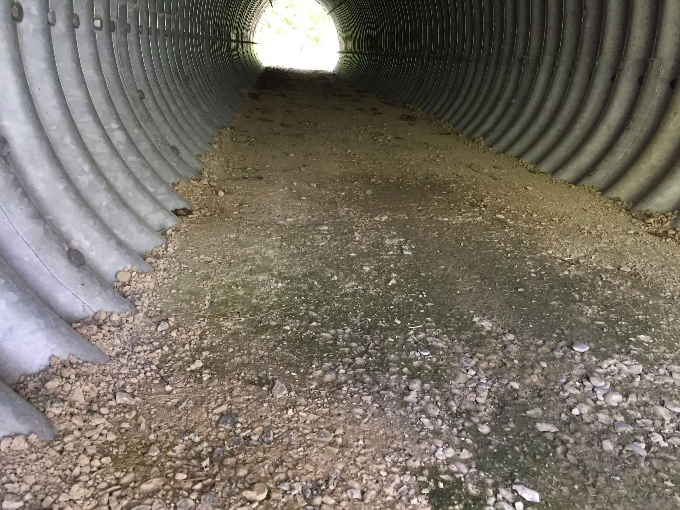 wildtierdurchlass_kantonsstrasse_wohlen_bremgarten_3.jpg wildtierdurchlass_kantonsstrasse_wohlen_bremgarten_3.jpg