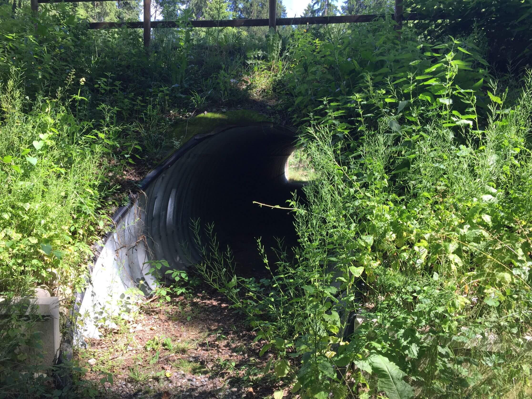 kantonsstrasse_wohlen-bremgarten_-_wildtierdurchlass_2.jpg kantonsstrasse_wohlen-bremgarten_-_wildtierdurchlass_2.jpg