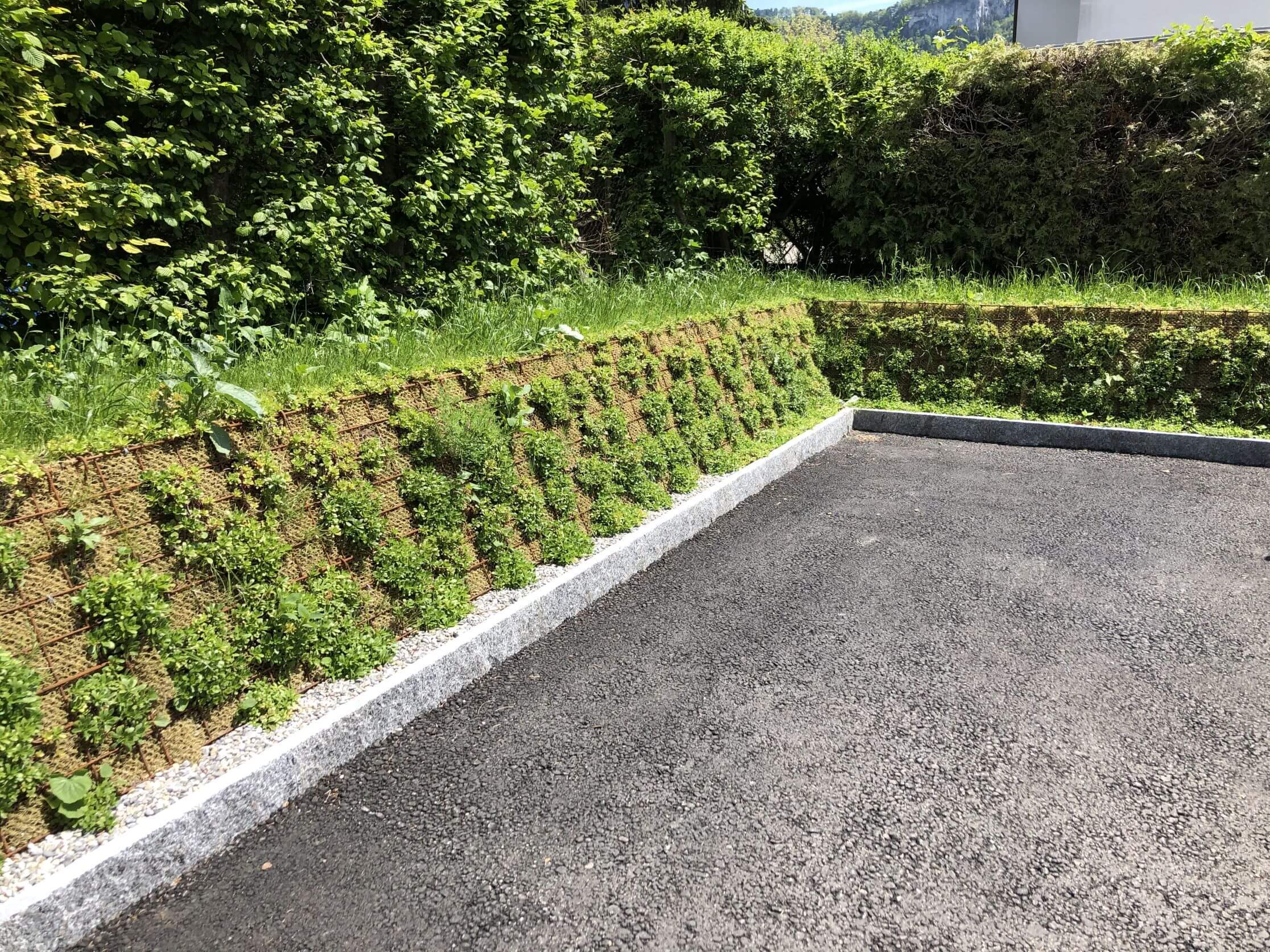 Alters- und Pflegeheim Balsthal - bepflanzte Steilböschung Alters- und Pflegeheim Balsthal - bepflanzte Steilböschung