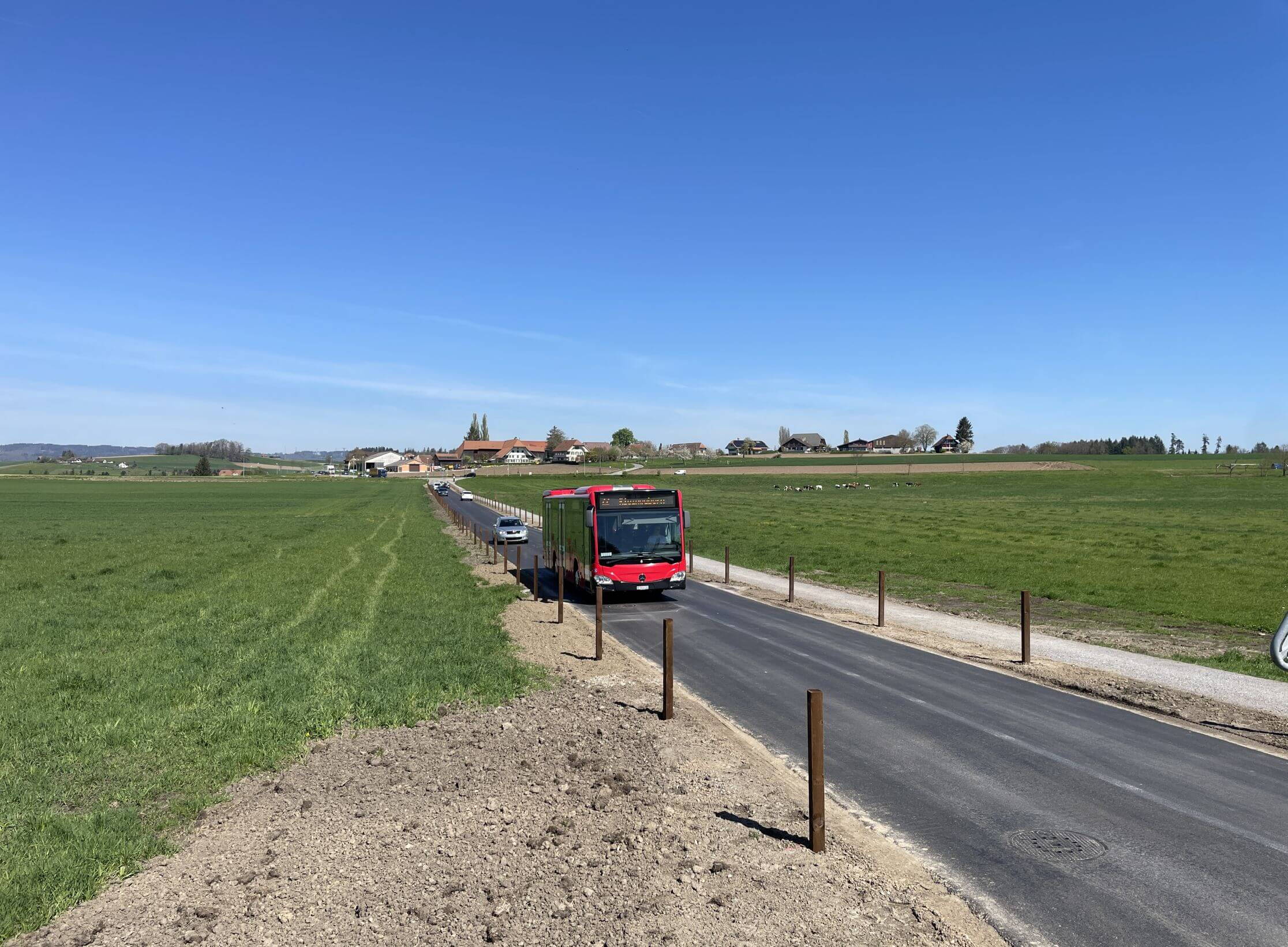 Sanierung des Moosweg in Bern durch Stabilisierung mit Geogittern