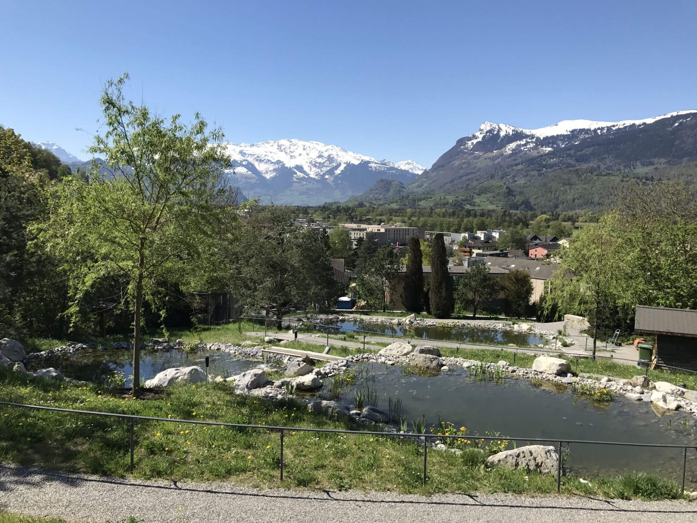 Quatre nouveaux étangs à Triesen