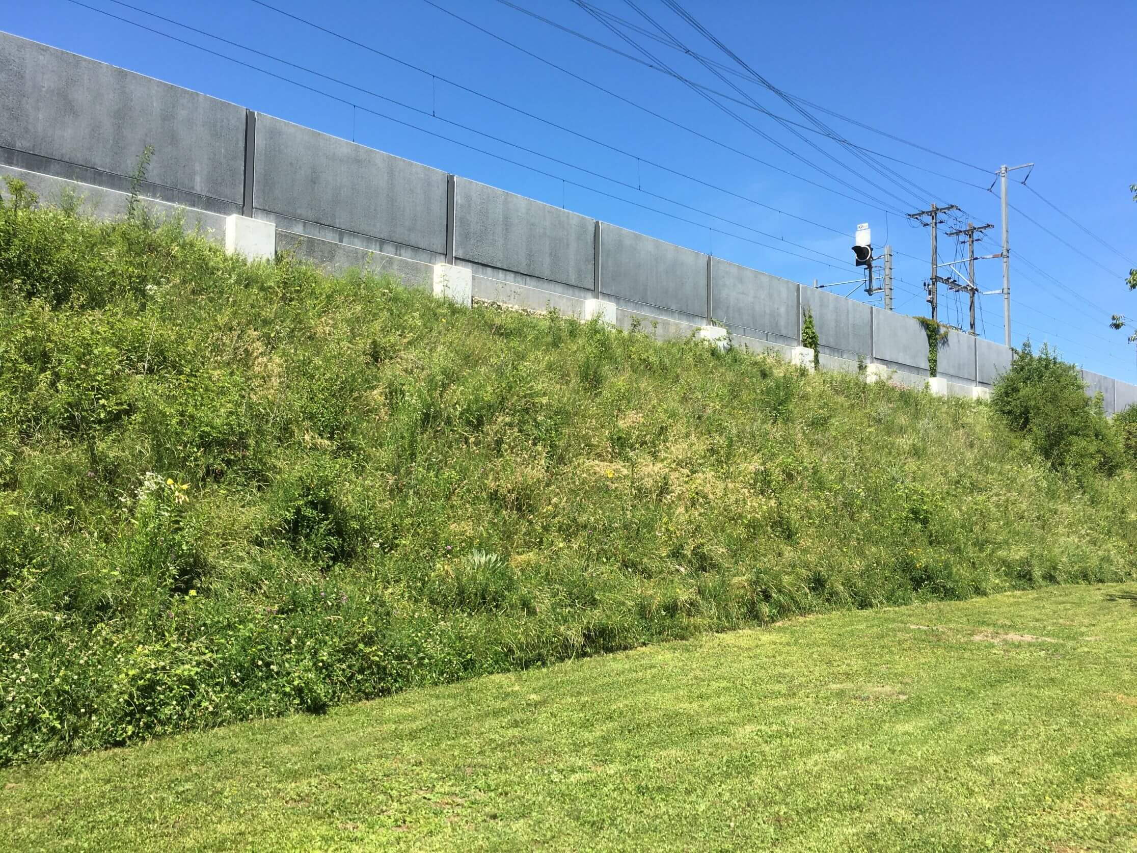 SBB Biel - Begrünung Bahndamm