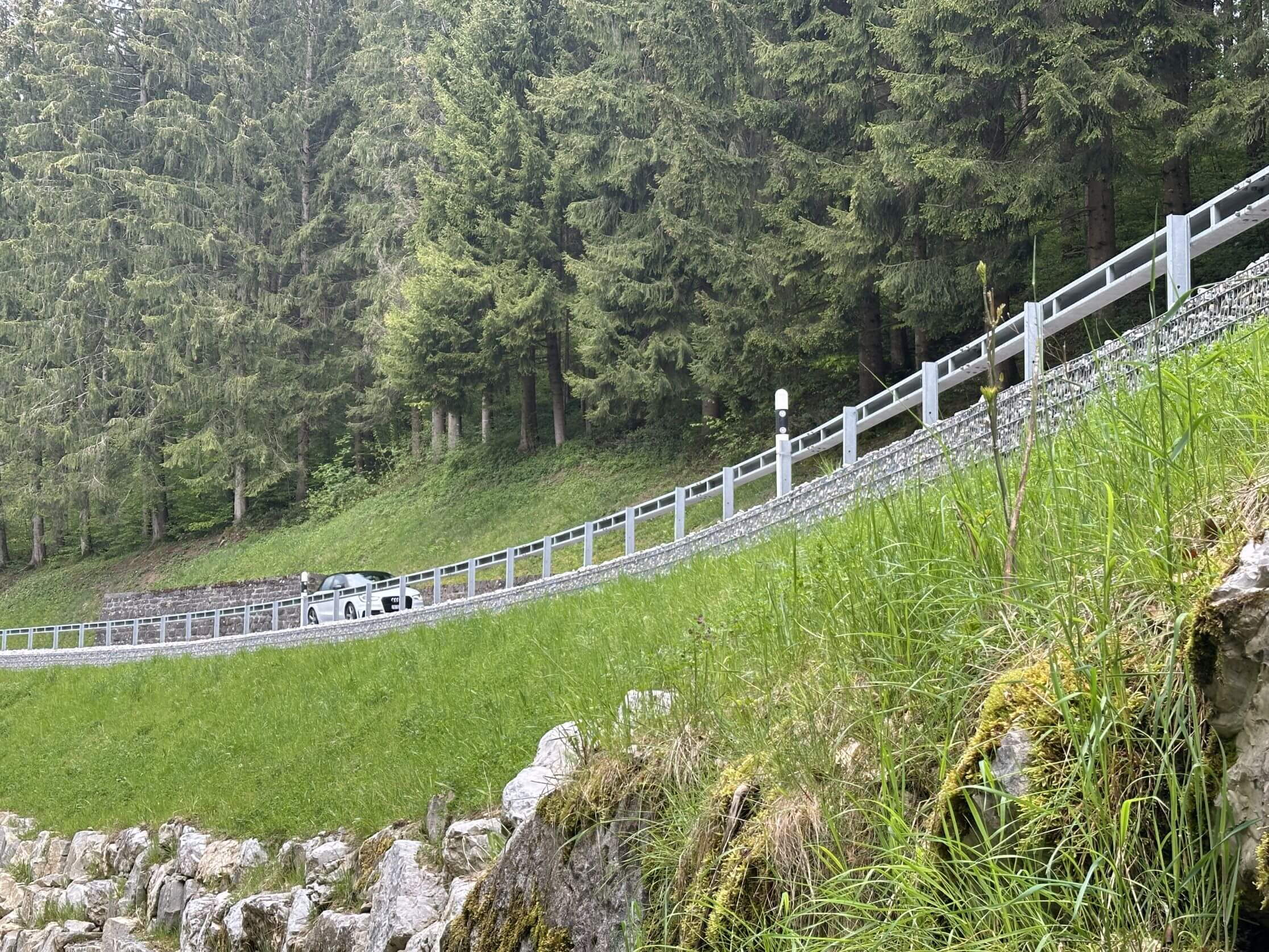 Route de la Gruyére Pont la Ville - Entretien de la route