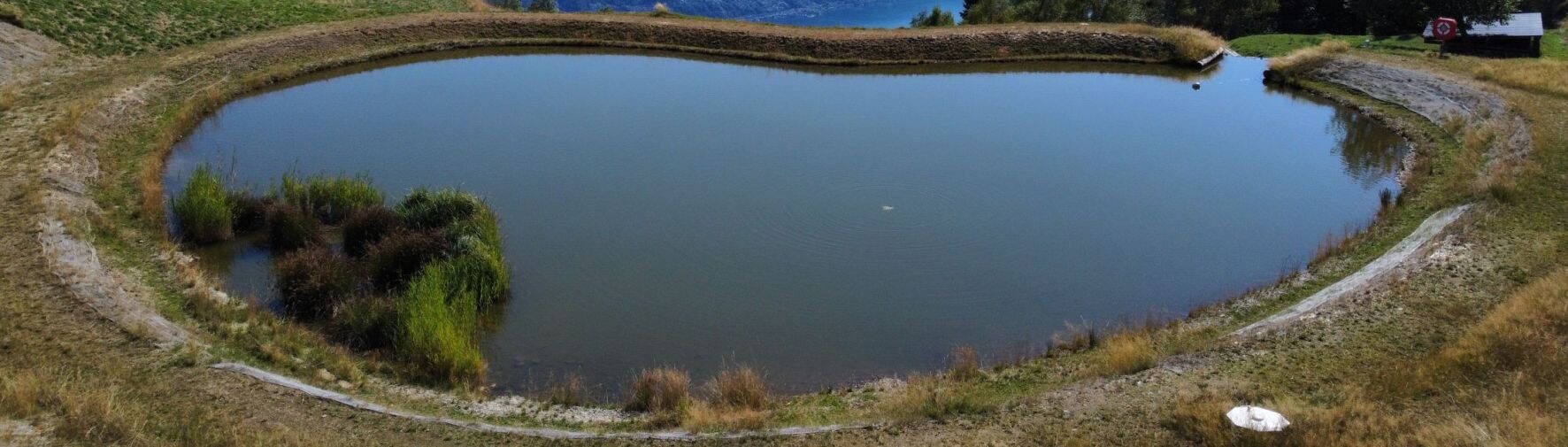 nachhaltigkeit_carbofol.jpg nachhaltigkeit_carbofol.jpg