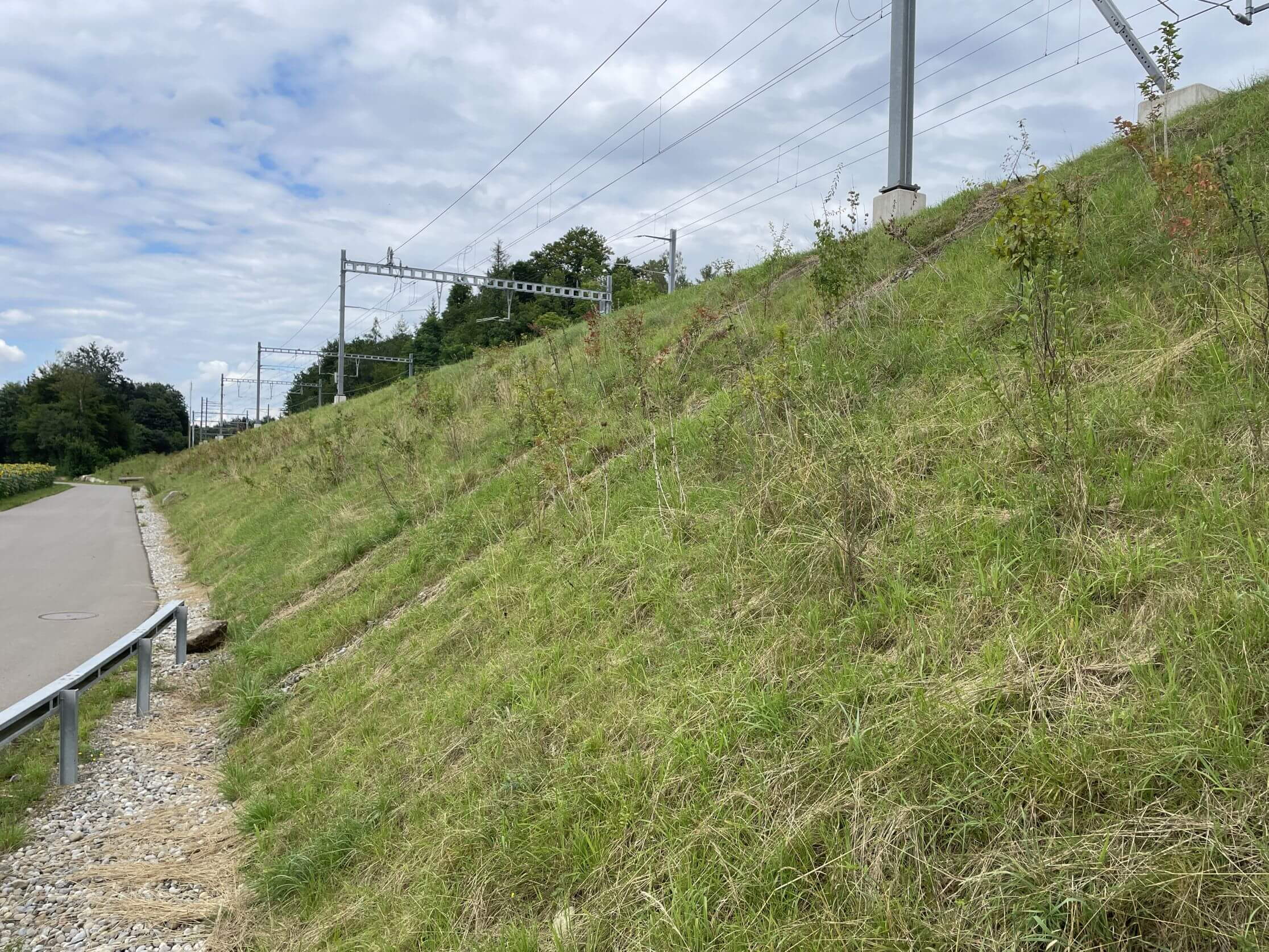 Stazione ferroviaria di Rupperswil-Mägenwil - aumento delle prestazioni