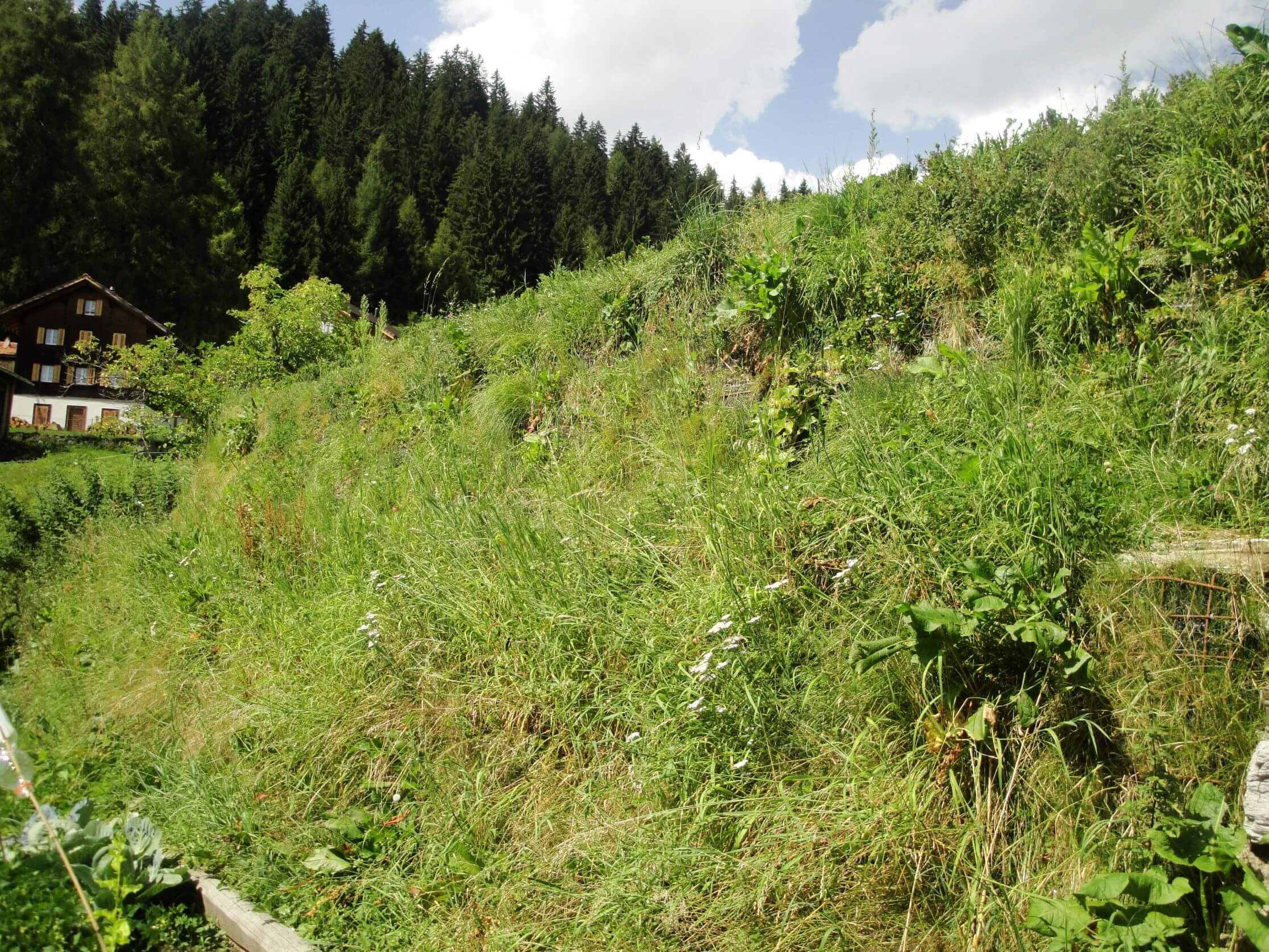 Umbau Ruschein - neue Gartengestaltung