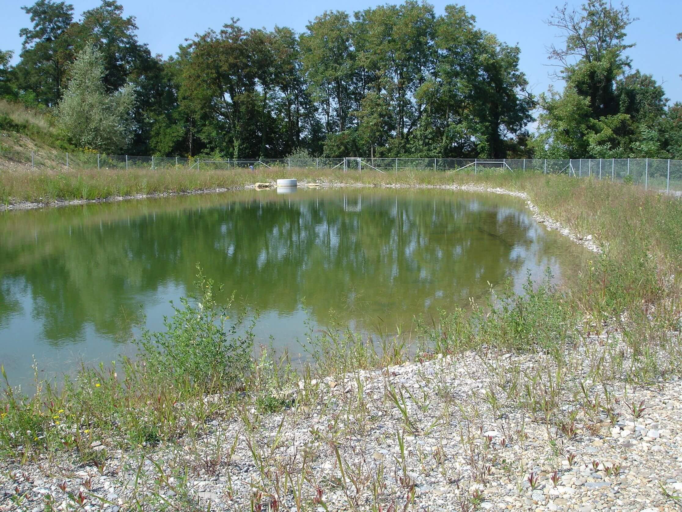 Amphibienteich Allschwil BL