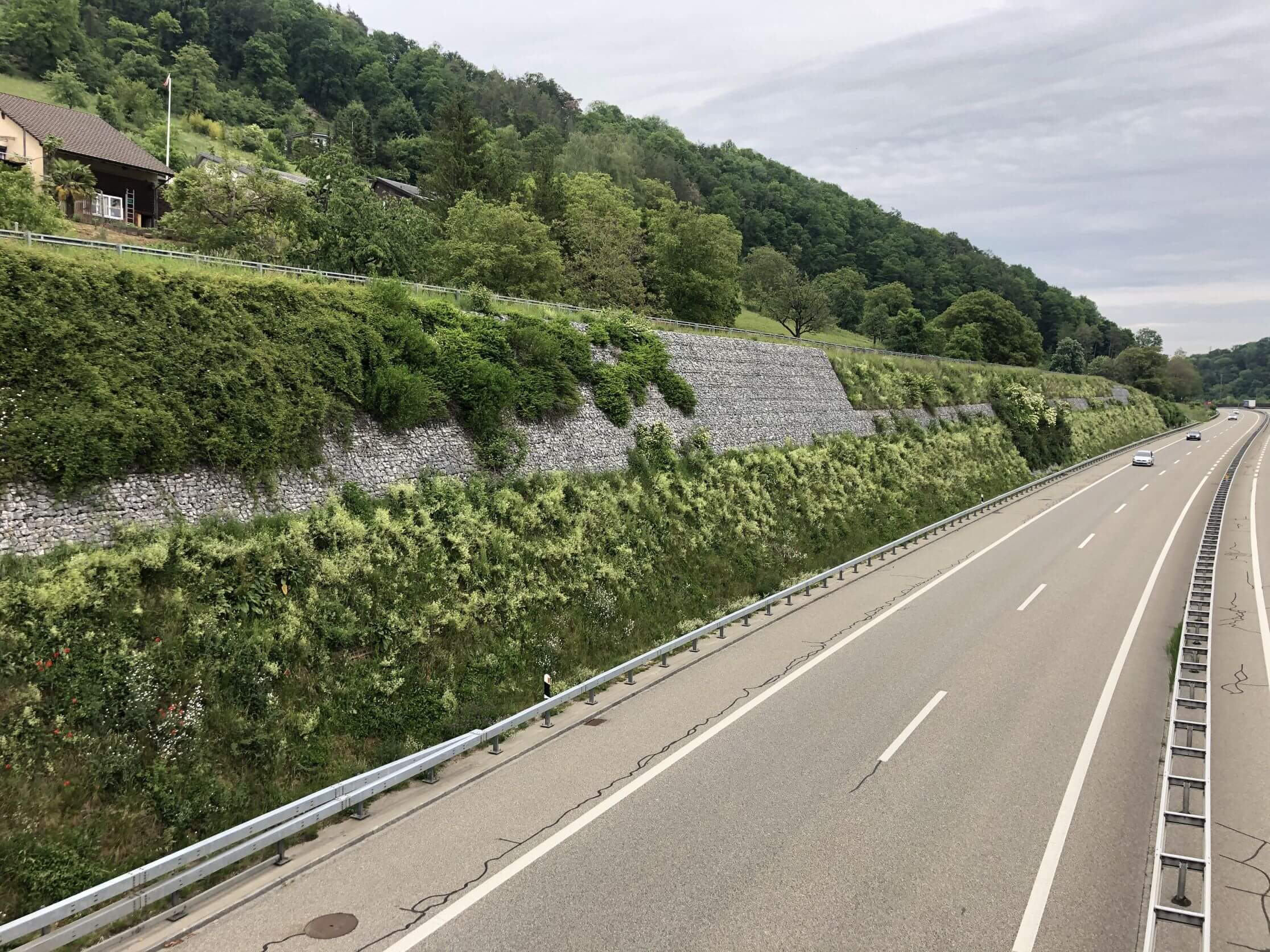 A3 Hornussen - Digue antibruit écologique A3 Hornussen - Digue antibruit écologique