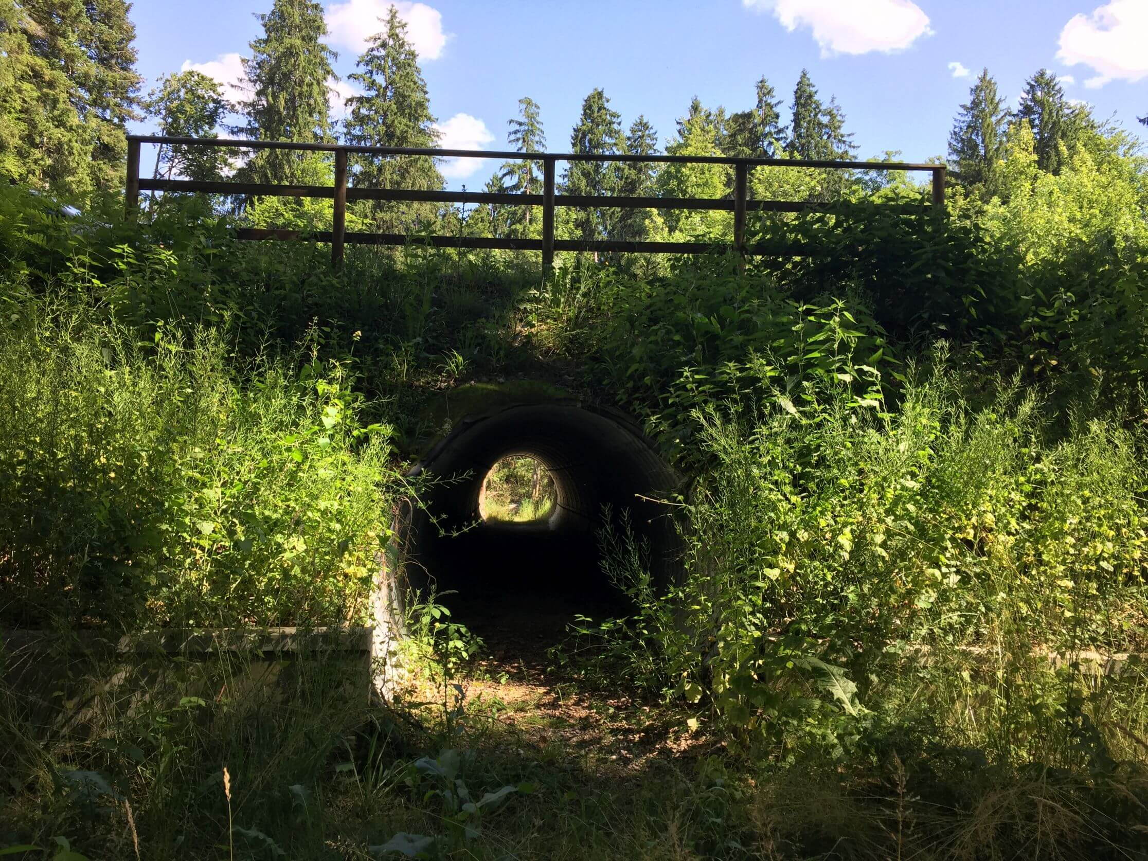 kantonsstrasse_wohlen-bremgarten_-_wildtierdurchlass_1.jpg kantonsstrasse_wohlen-bremgarten_-_wildtierdurchlass_1.jpg