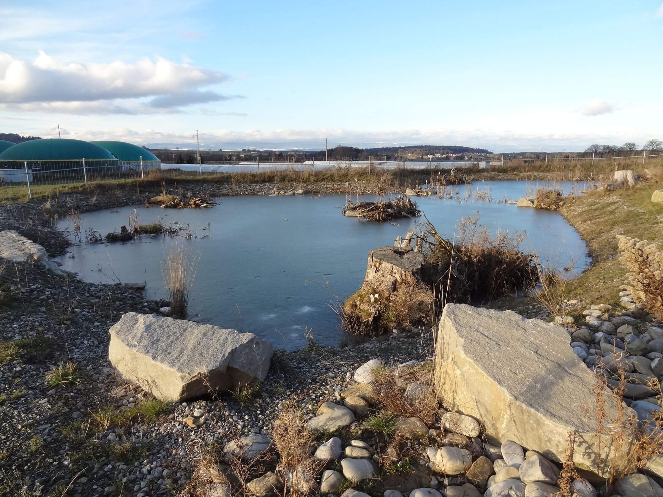 Birchhölzli Düdingen - Retentionsbecken