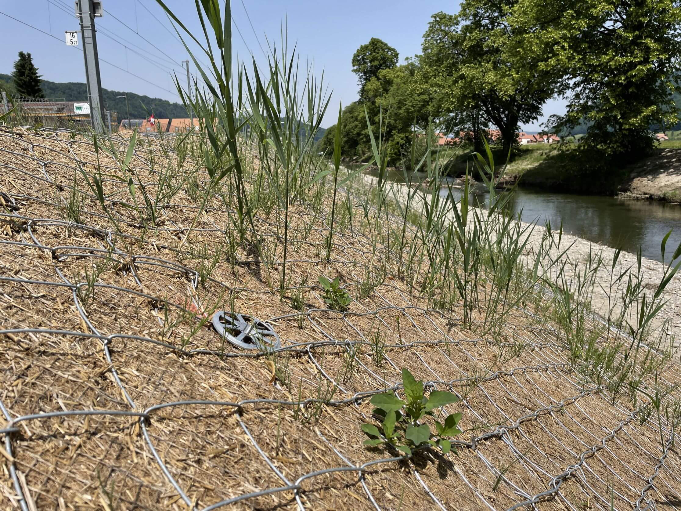 BLS Toffen - Renaturierung Gürbe BLS Toffen - Renaturierung Gürbe