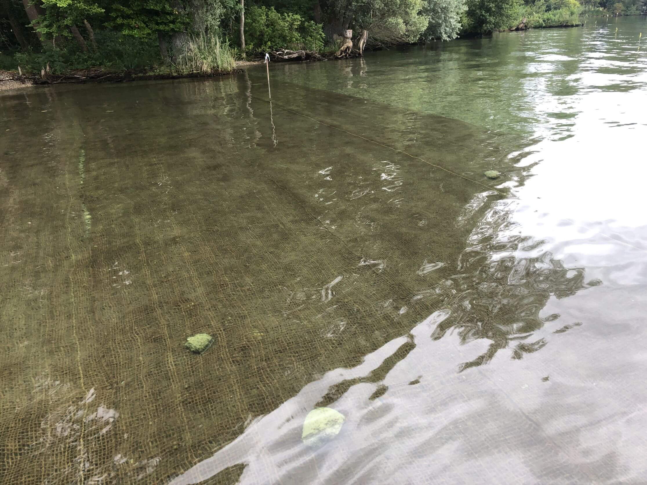 Archäologische Fundstätten Sutz-Lattrigen - Erhaltung im Flachwasserbereich