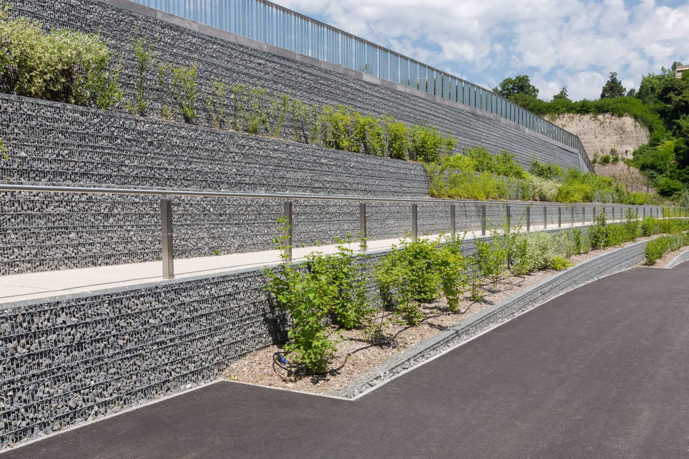 CFF Pont sur l'arve, Camouflage sur les rives de l'Arve CFF Pont sur l'arve, Camouflage sur les rives de l'Arve